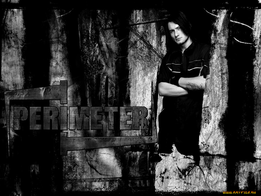 p10, музыка, perimeter