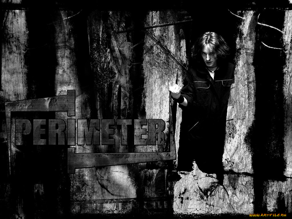 perimeter, музыка