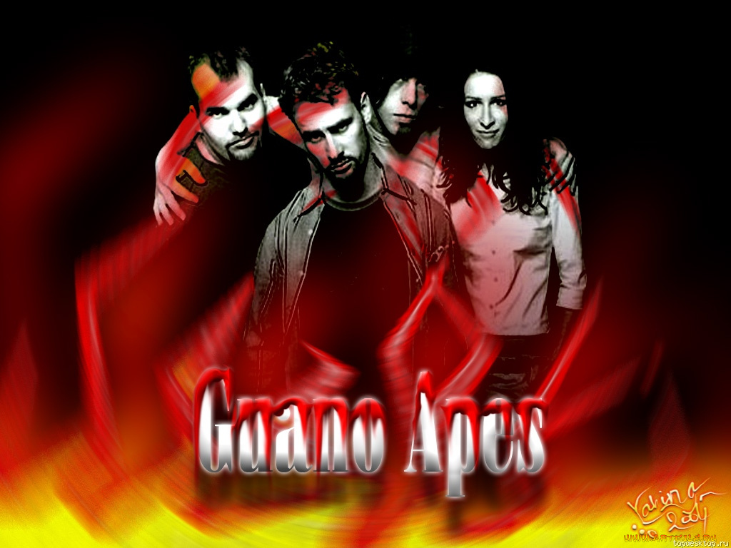 музыка, guano, apes