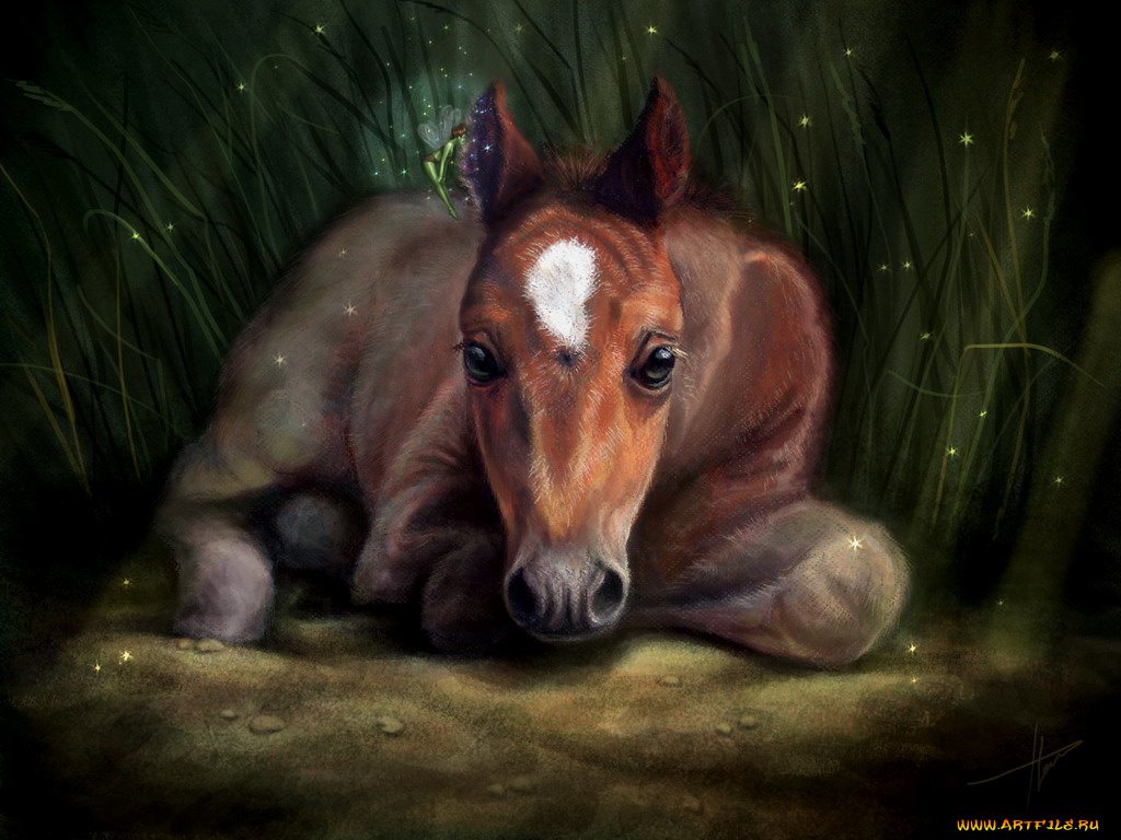 рисованные, животные