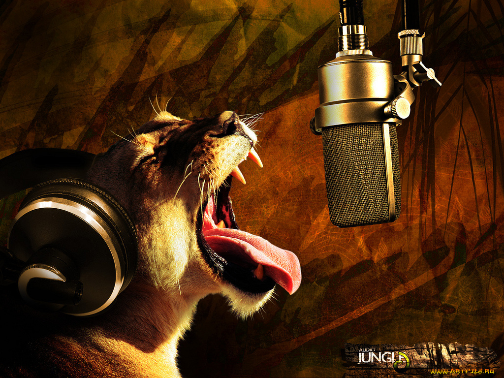 юмор, приколы