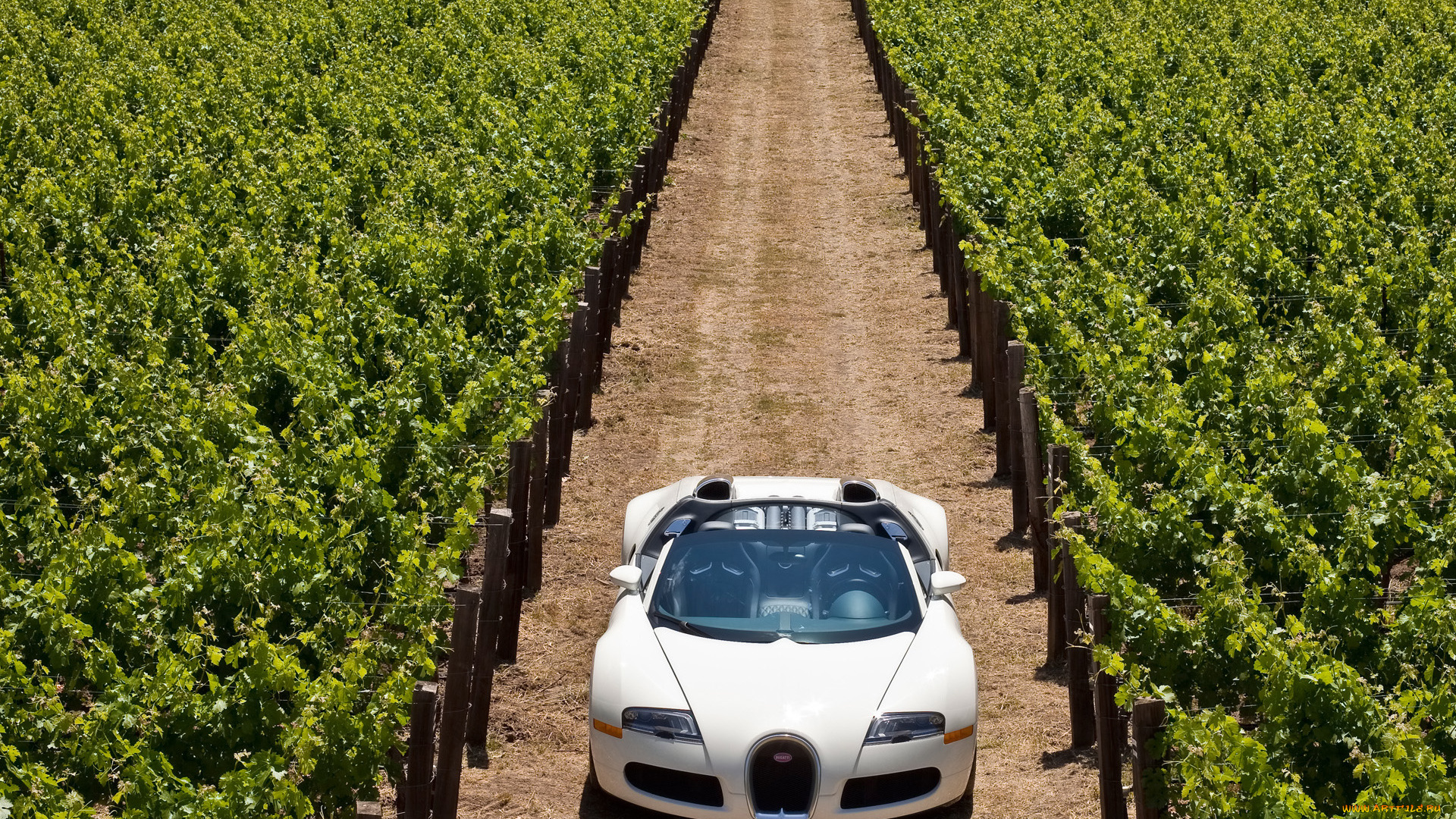 2010, bugatti, veyron, 16, grand, sport, автомобили