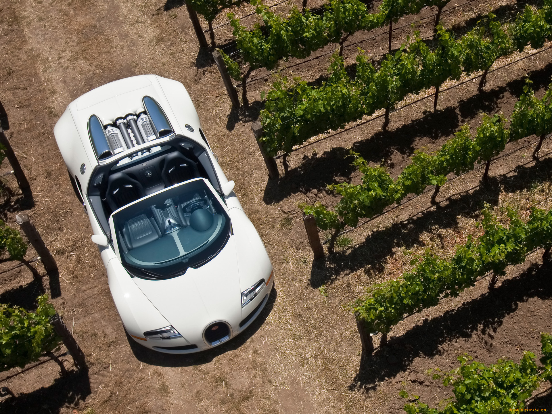 2010, bugatti, veyron, 16, grand, sport, автомобили