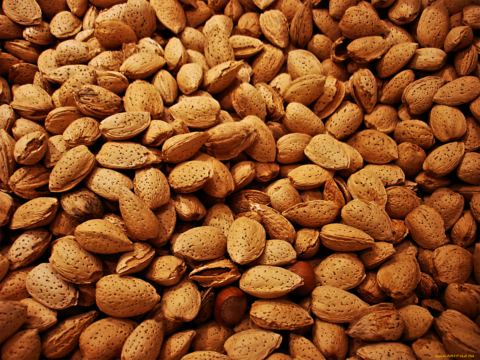 еда, орехи, каштаны