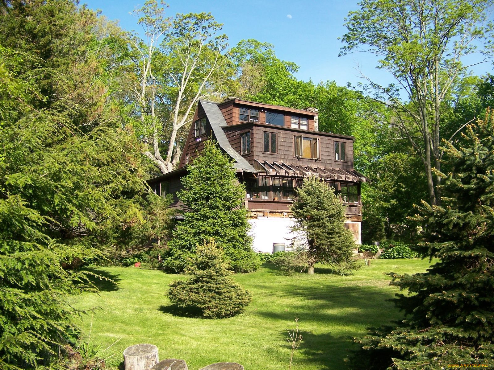 разное, сооружения, постройки, домик, лес