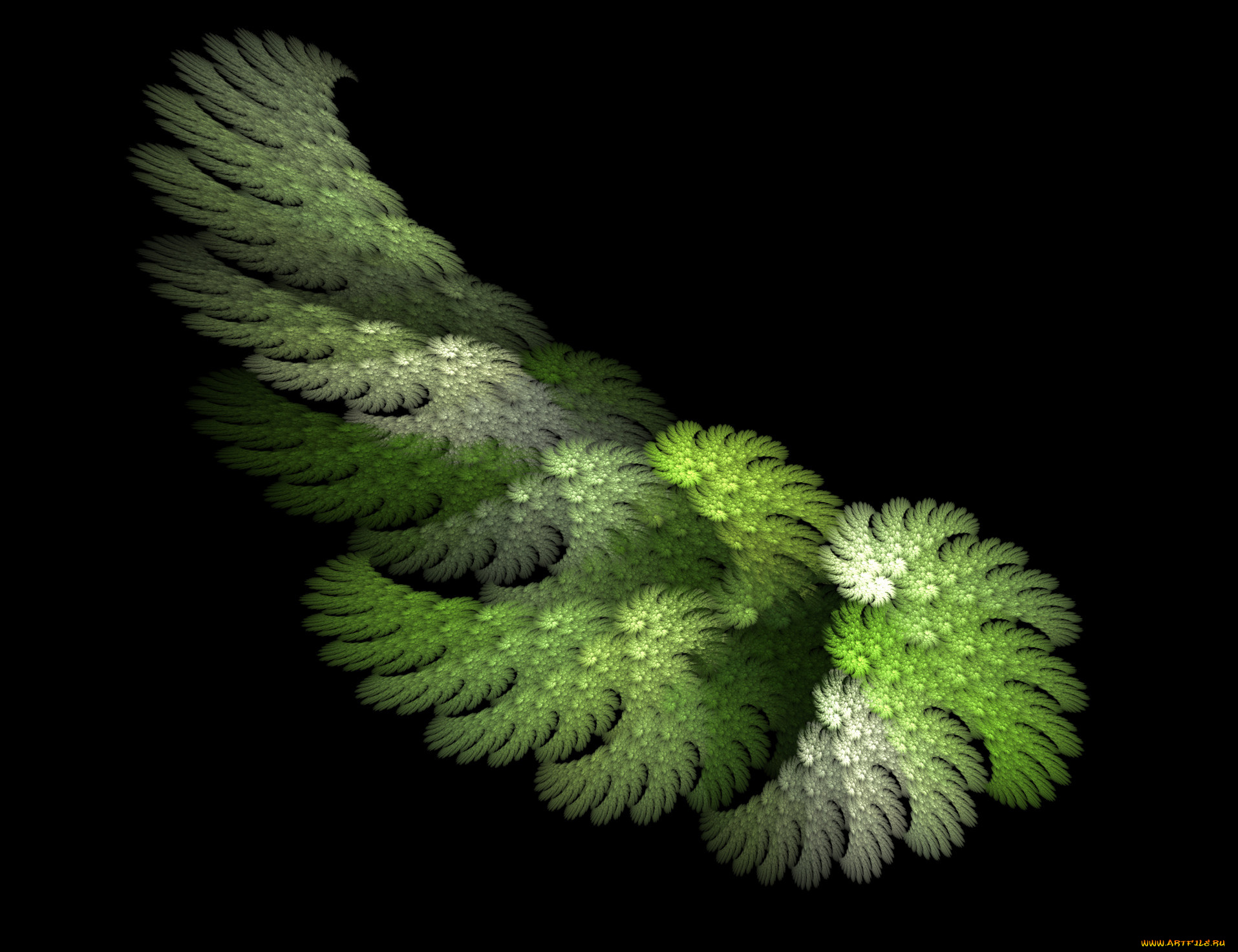 3д, графика, fractal, фракталы