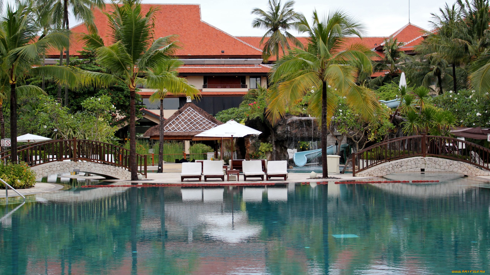 города, другое, пальмы