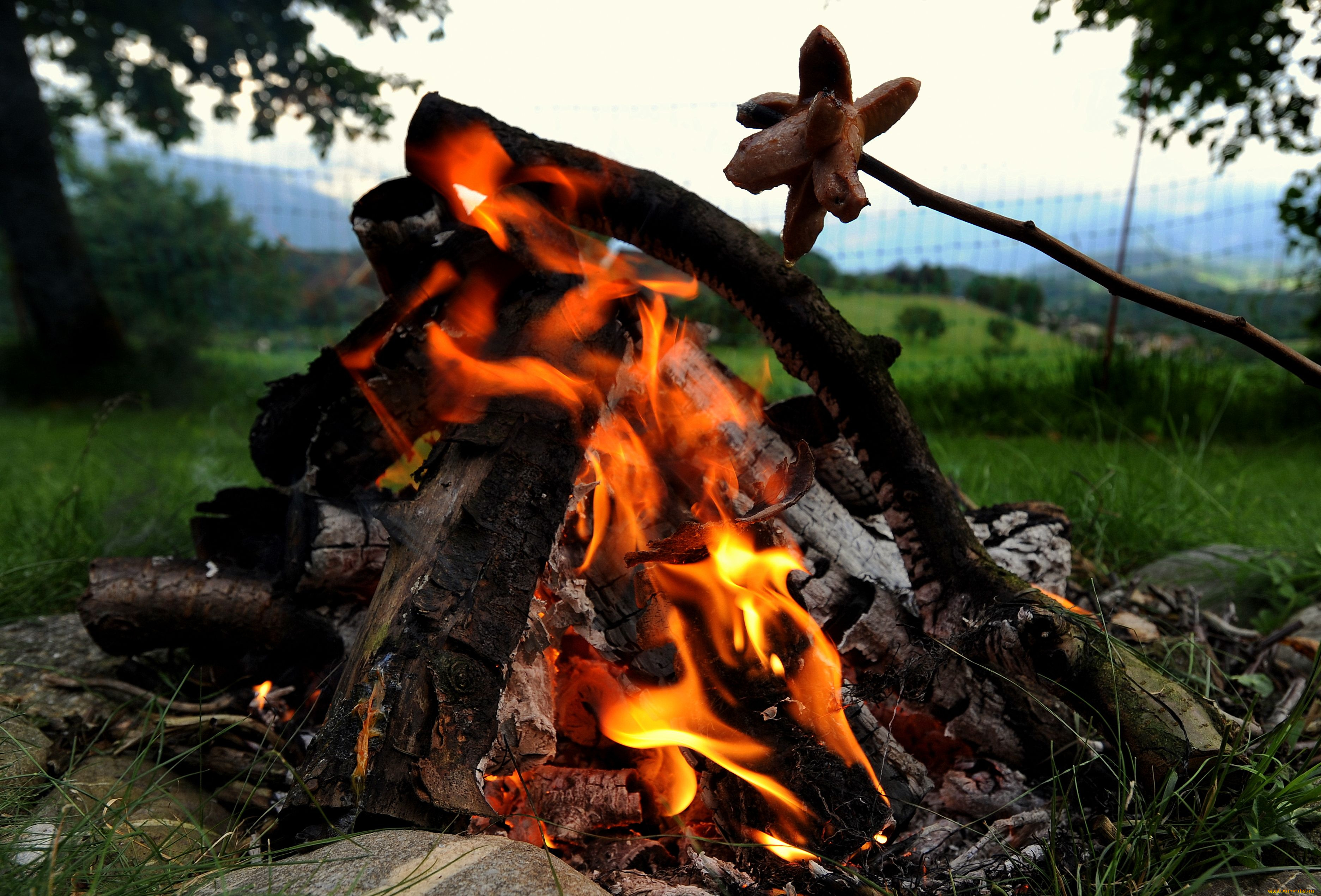 еда, шашлык, барбекю, костер, сосиски