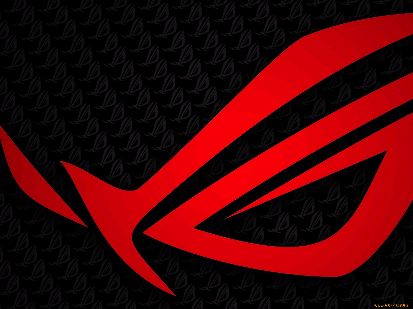 компьютеры, asus