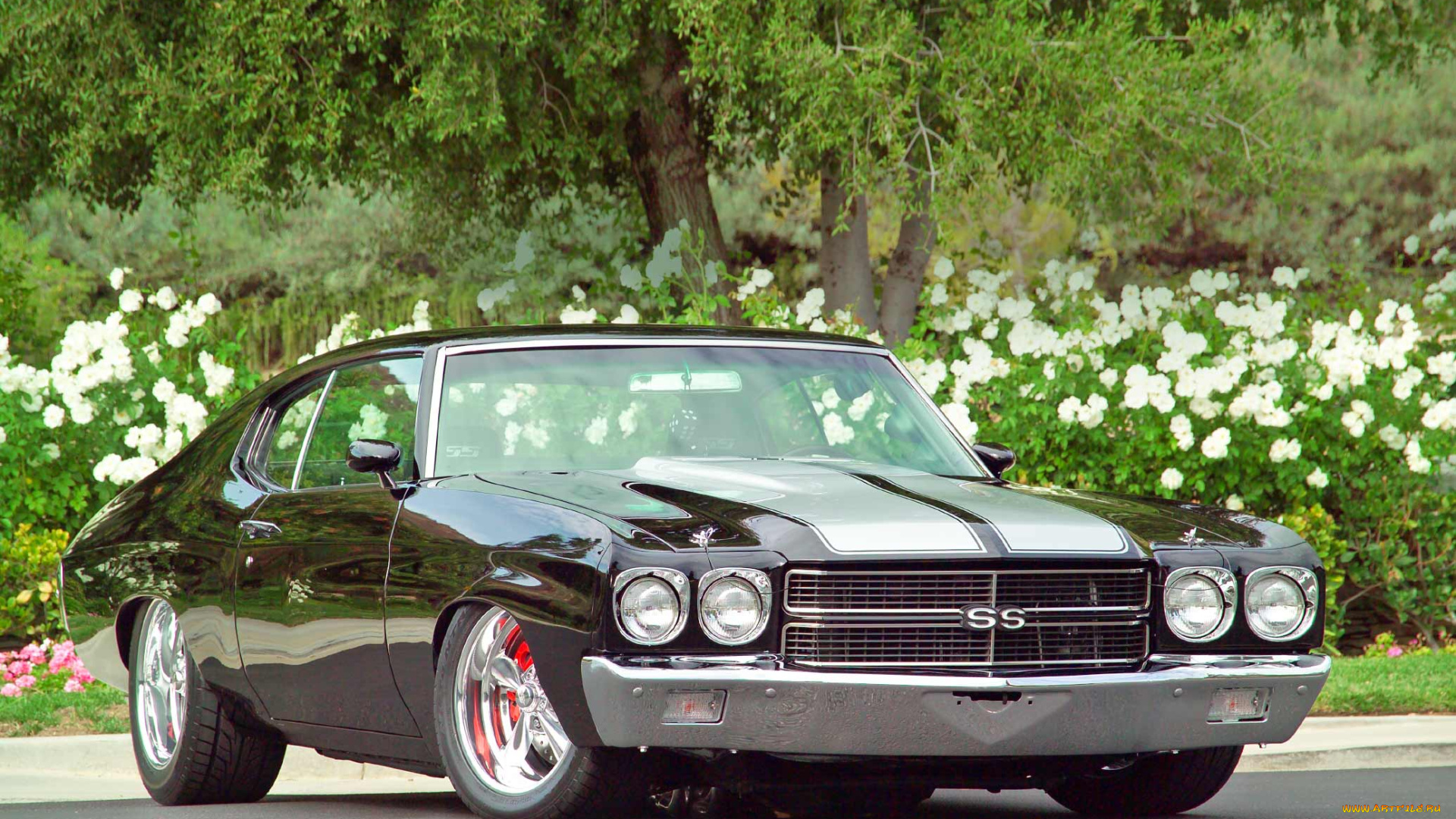 автомобили, chevrolet, wallpaper