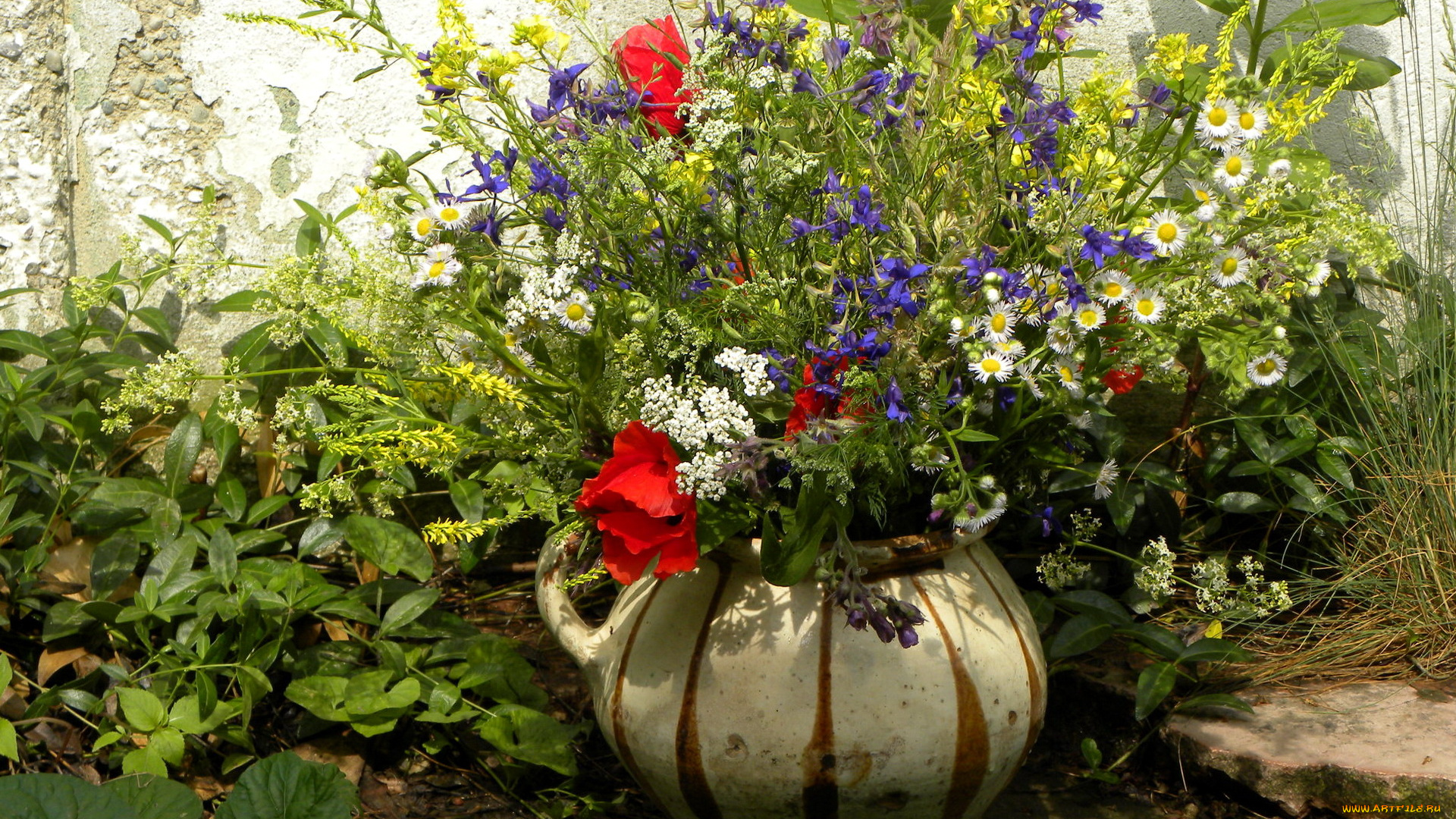 цветы, луговые, полевые, букет, ваза, маки