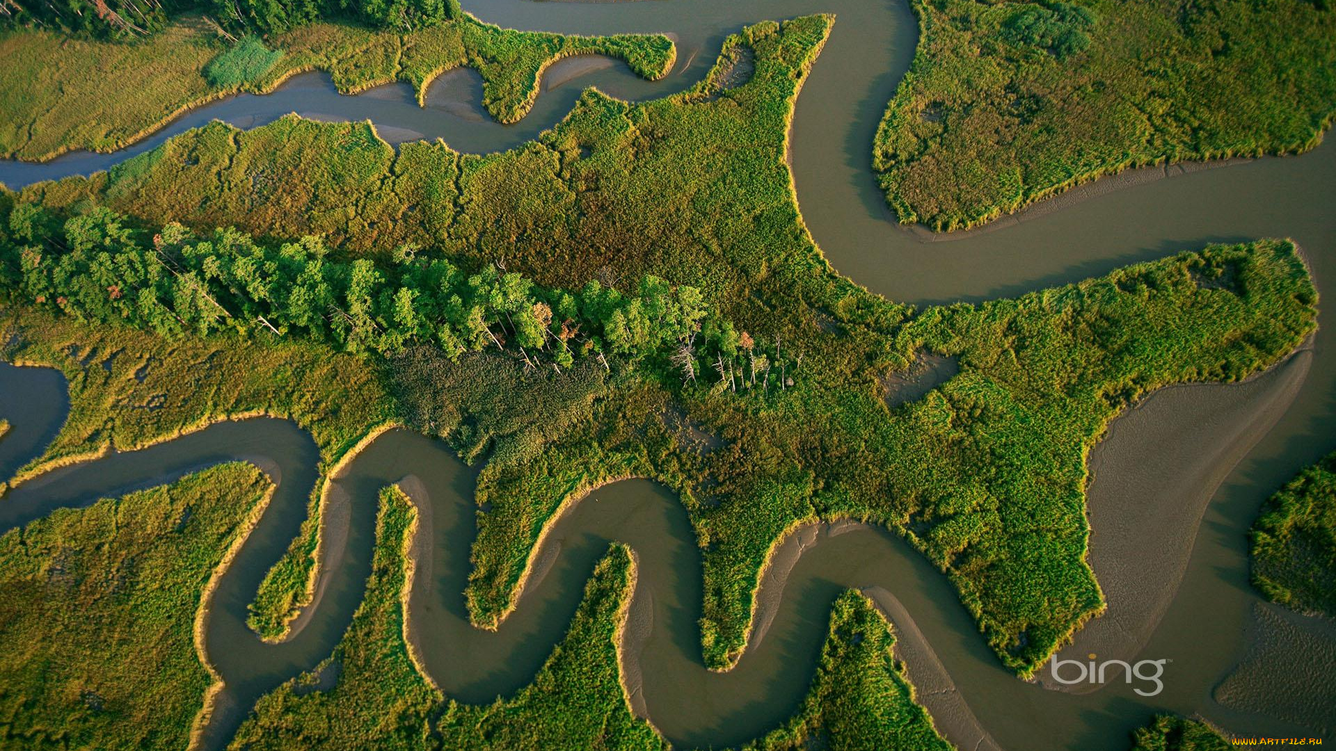 природа, реки, озера, лес, река, русло