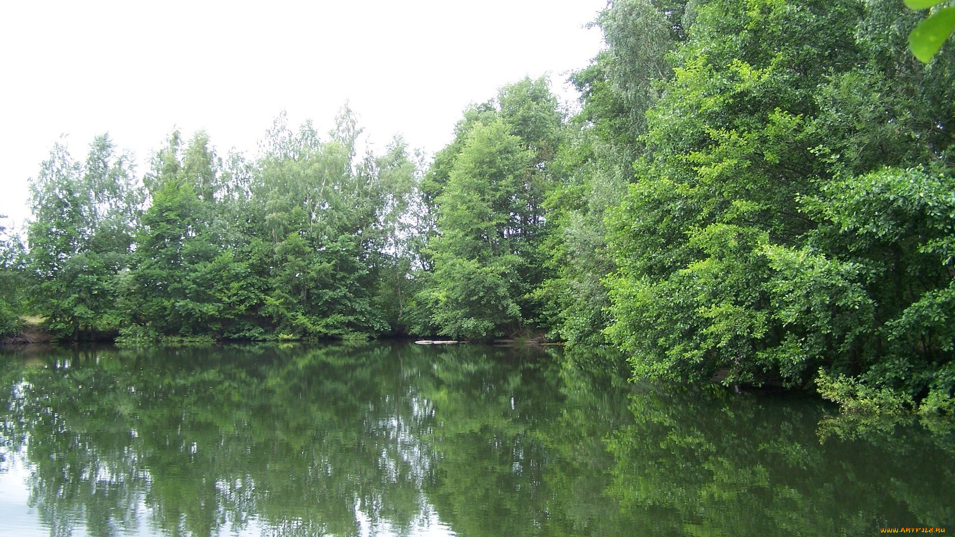 природа, реки, озера, река, деревья