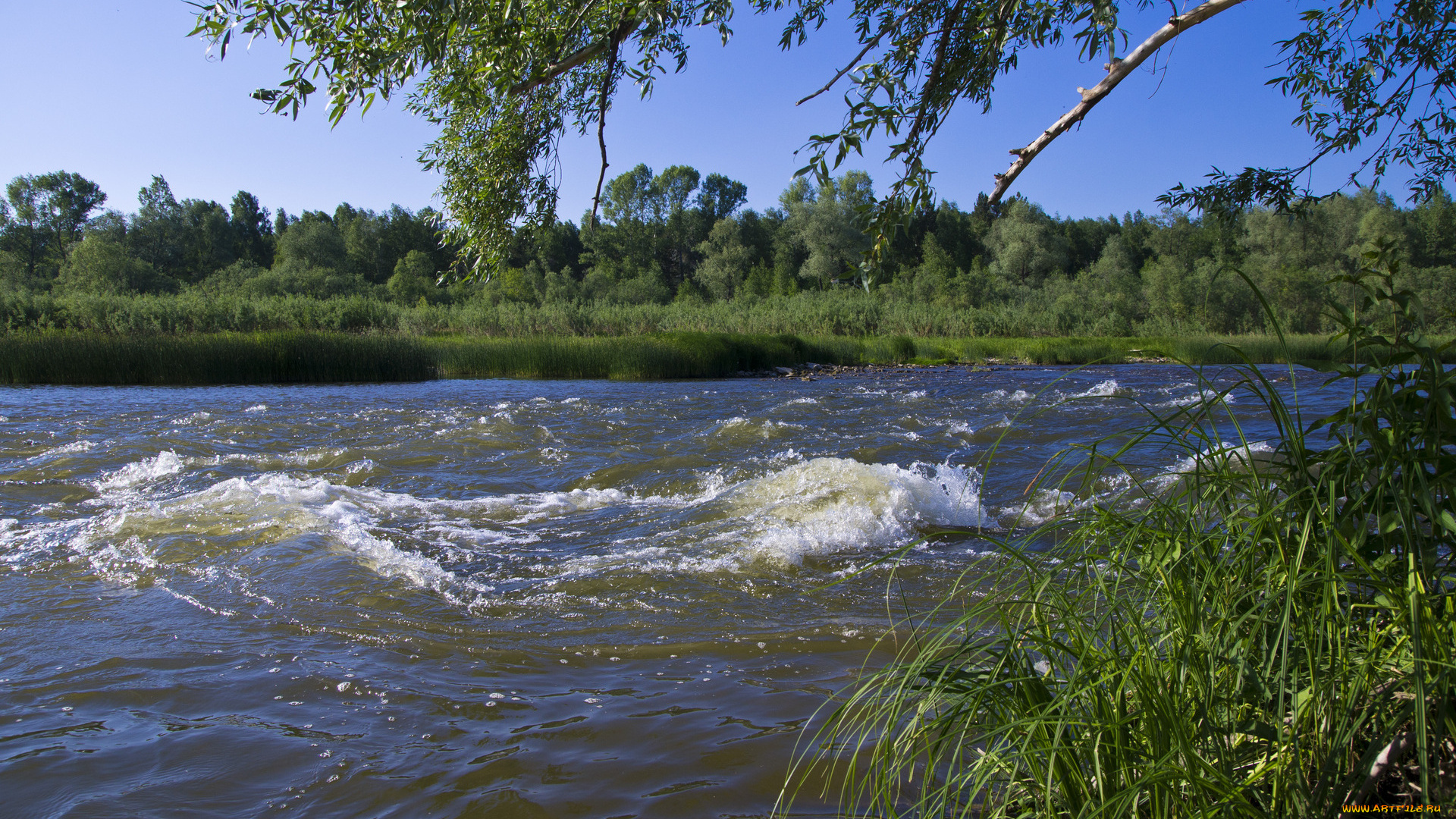 природа, реки, озера, река, волны, деревья