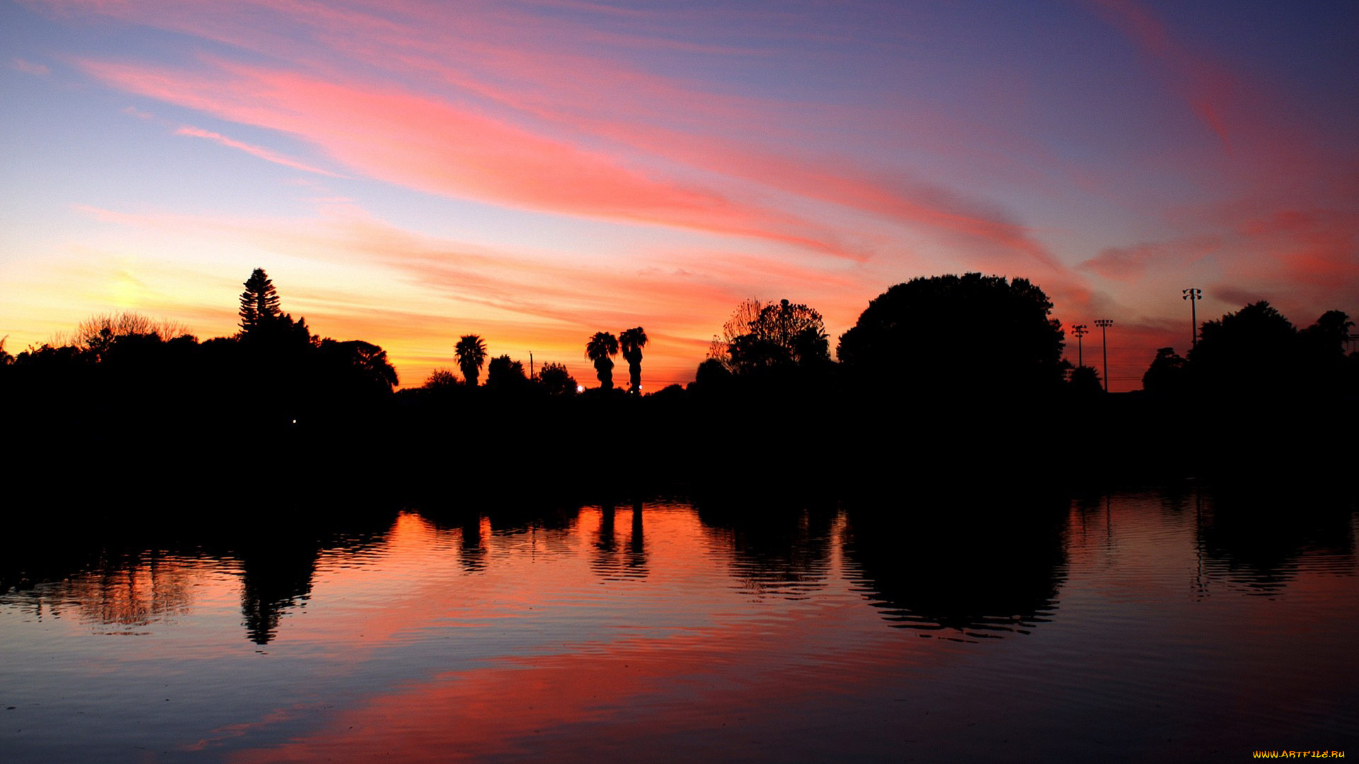 природа, восходы, закаты, деревья, облака