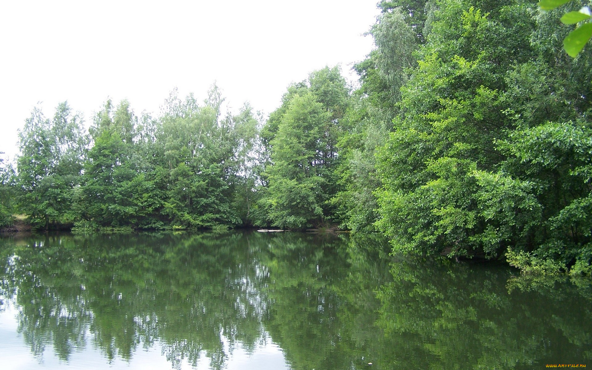 природа, реки, озера, река, деревья