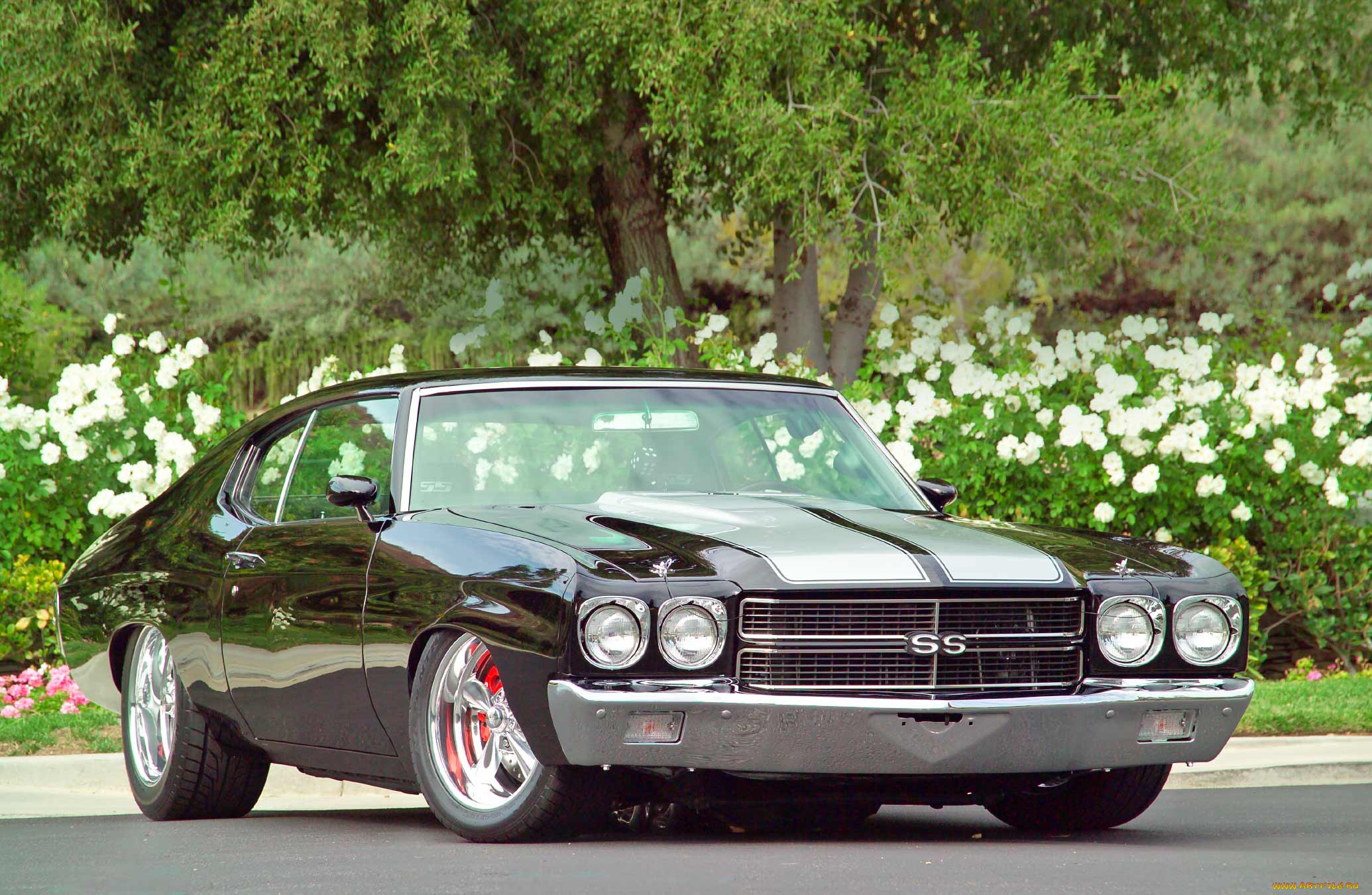 автомобили, chevrolet, wallpaper