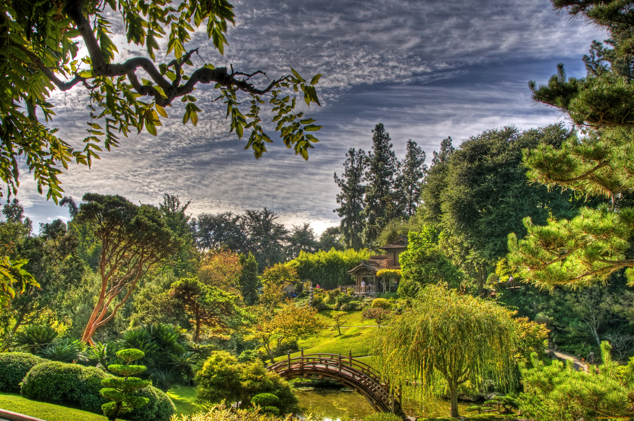 san, marino, california, usa, japanese, garden, природа, парк, мостик, растения, небо