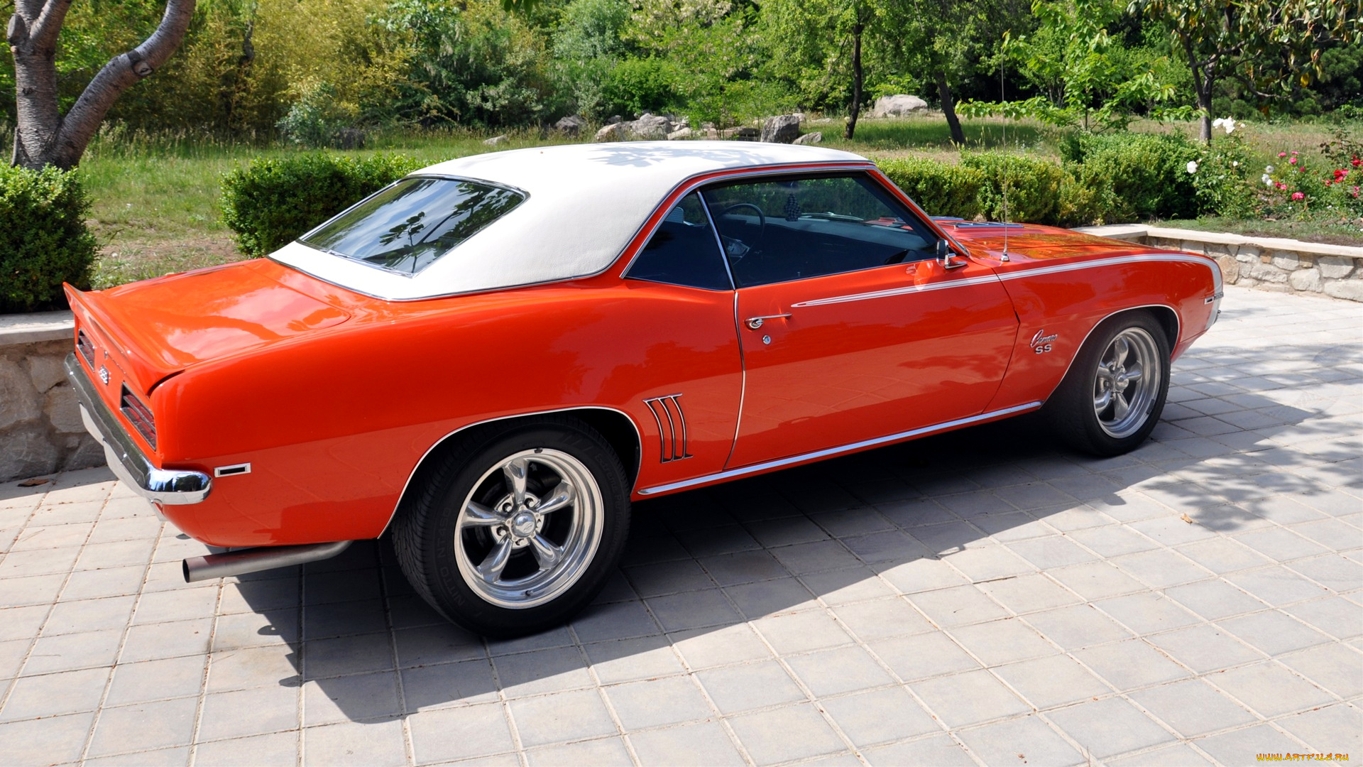 chevrolet, camaro, автомобили, gm, division, сша