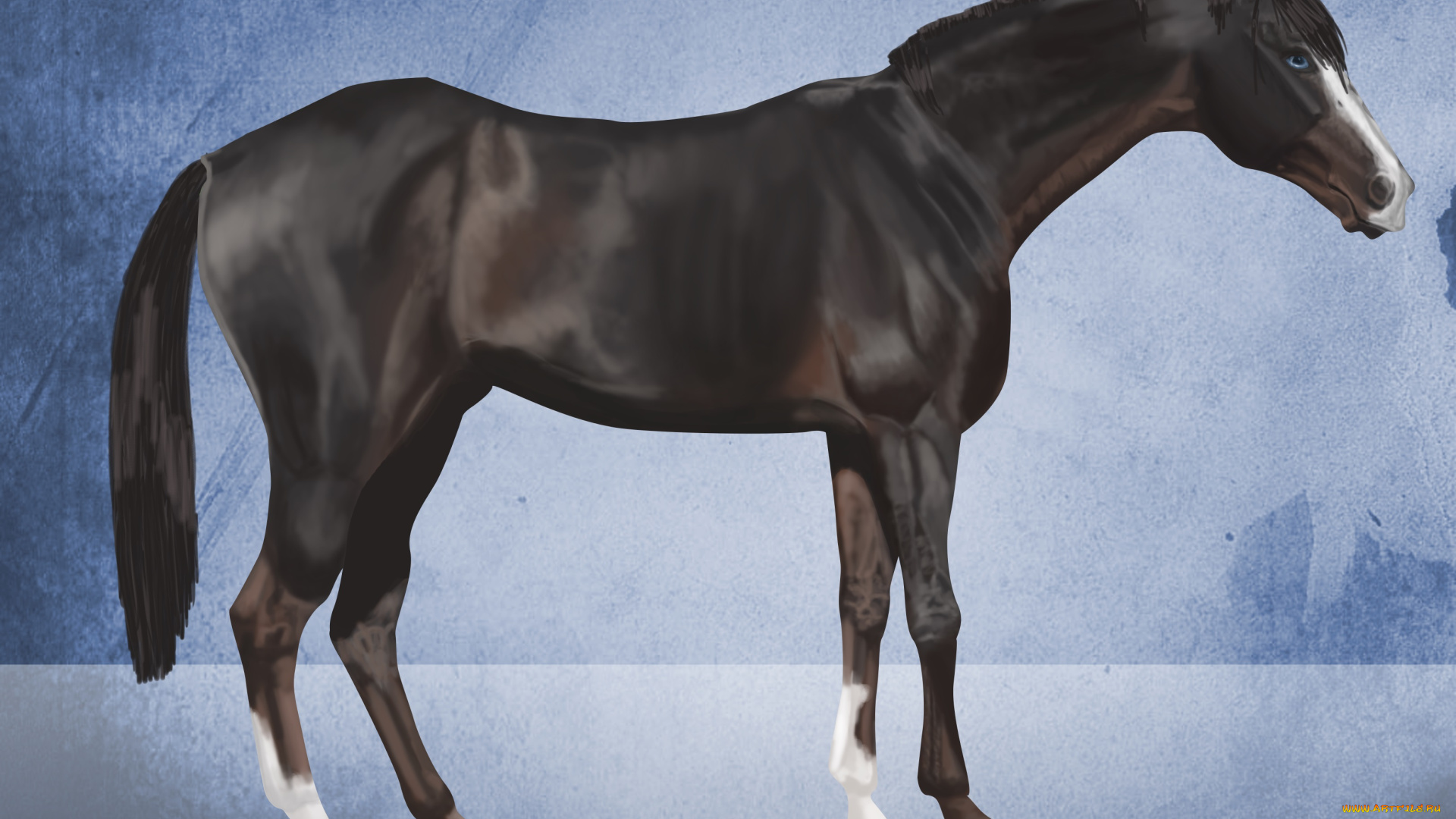 рисованные, животные, собаки, лошадь