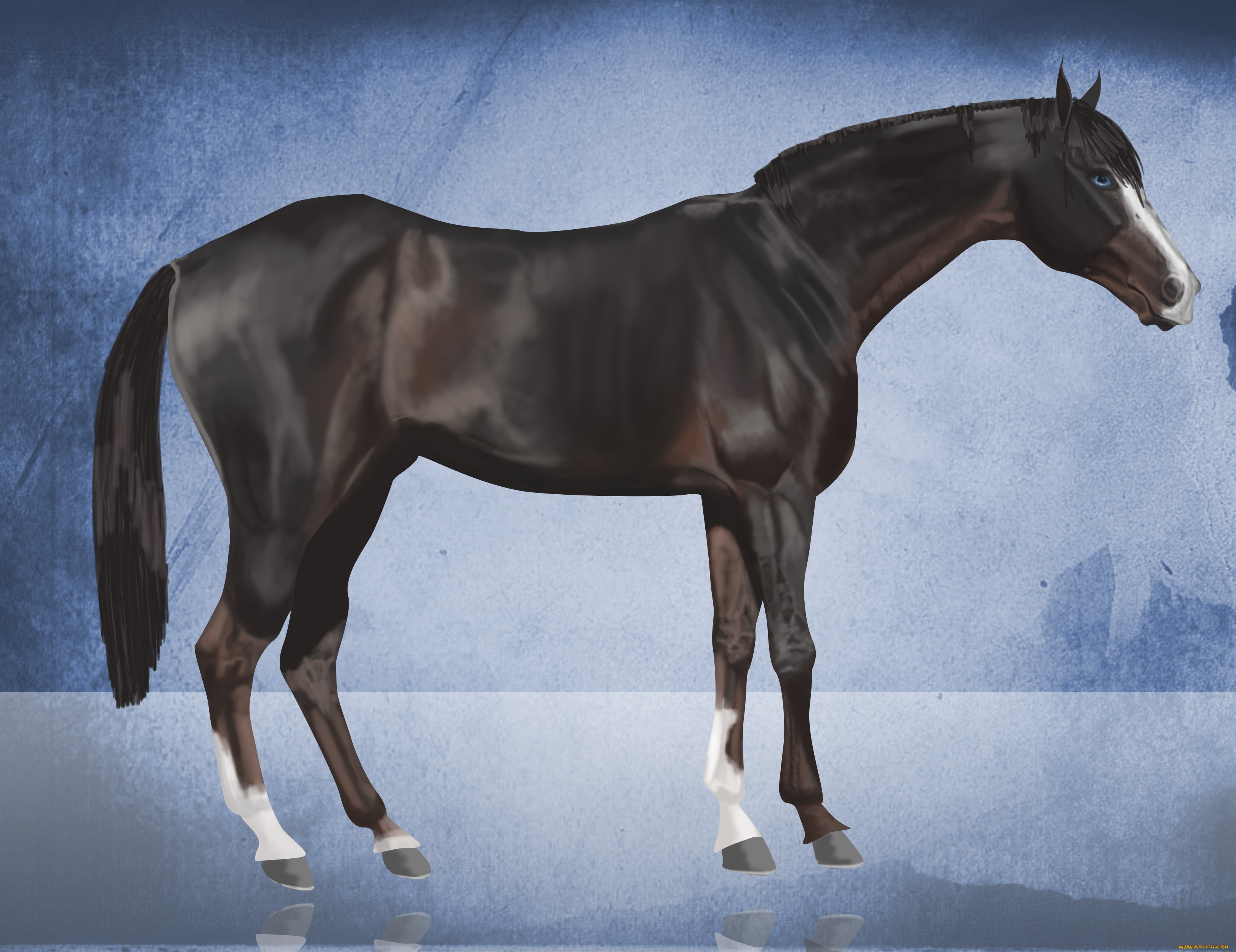 рисованные, животные, собаки, лошадь