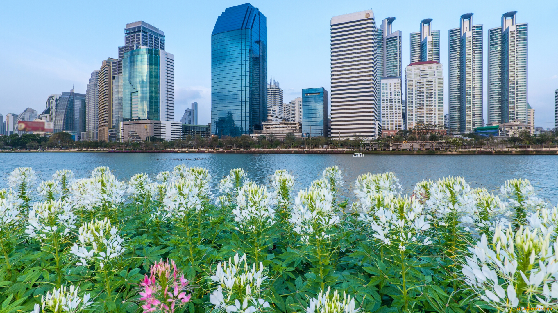 bangkok, , thailand, города, бангкок, , таиланд, thailand, chao, phraya, river, бангкок, река, Чаупхрая, набережная, цветы, здания, небоскрёбы