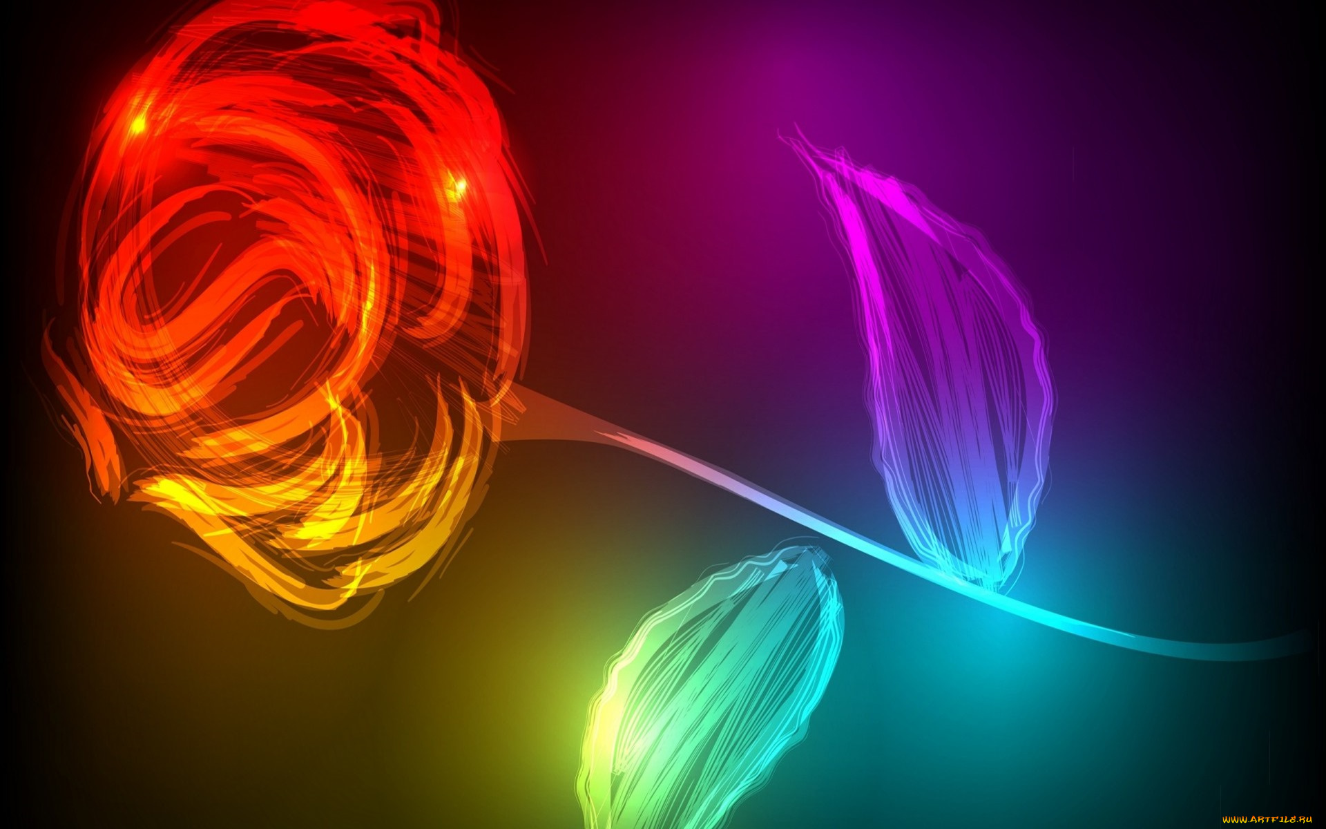 3д, графика, цветы, , flowers, роза