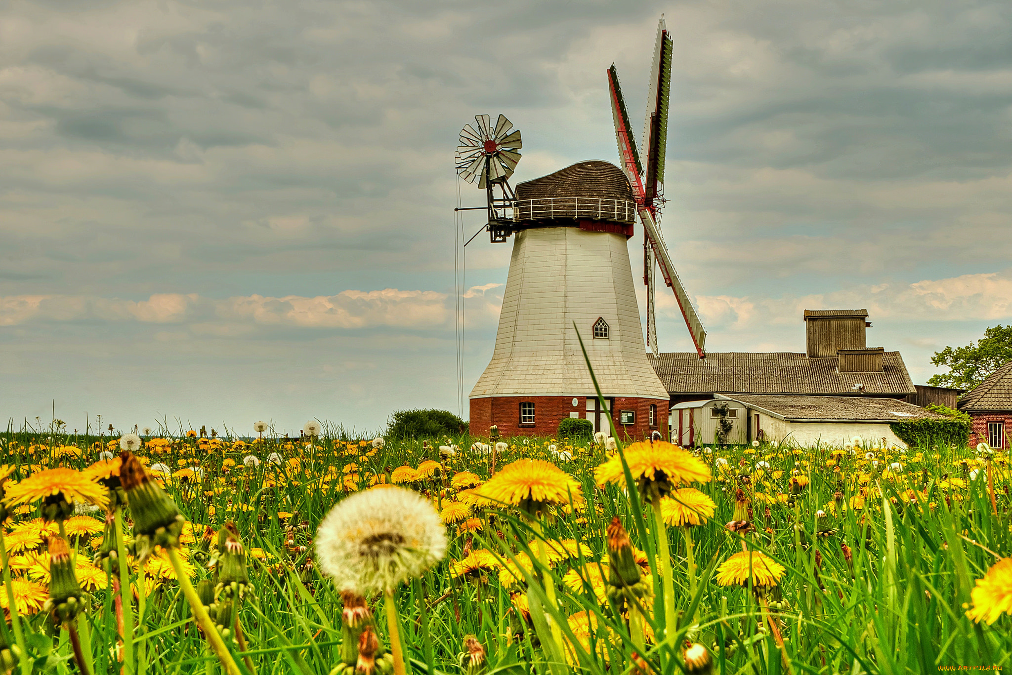 разное, мельницы, луг, одуванчики, ветряк