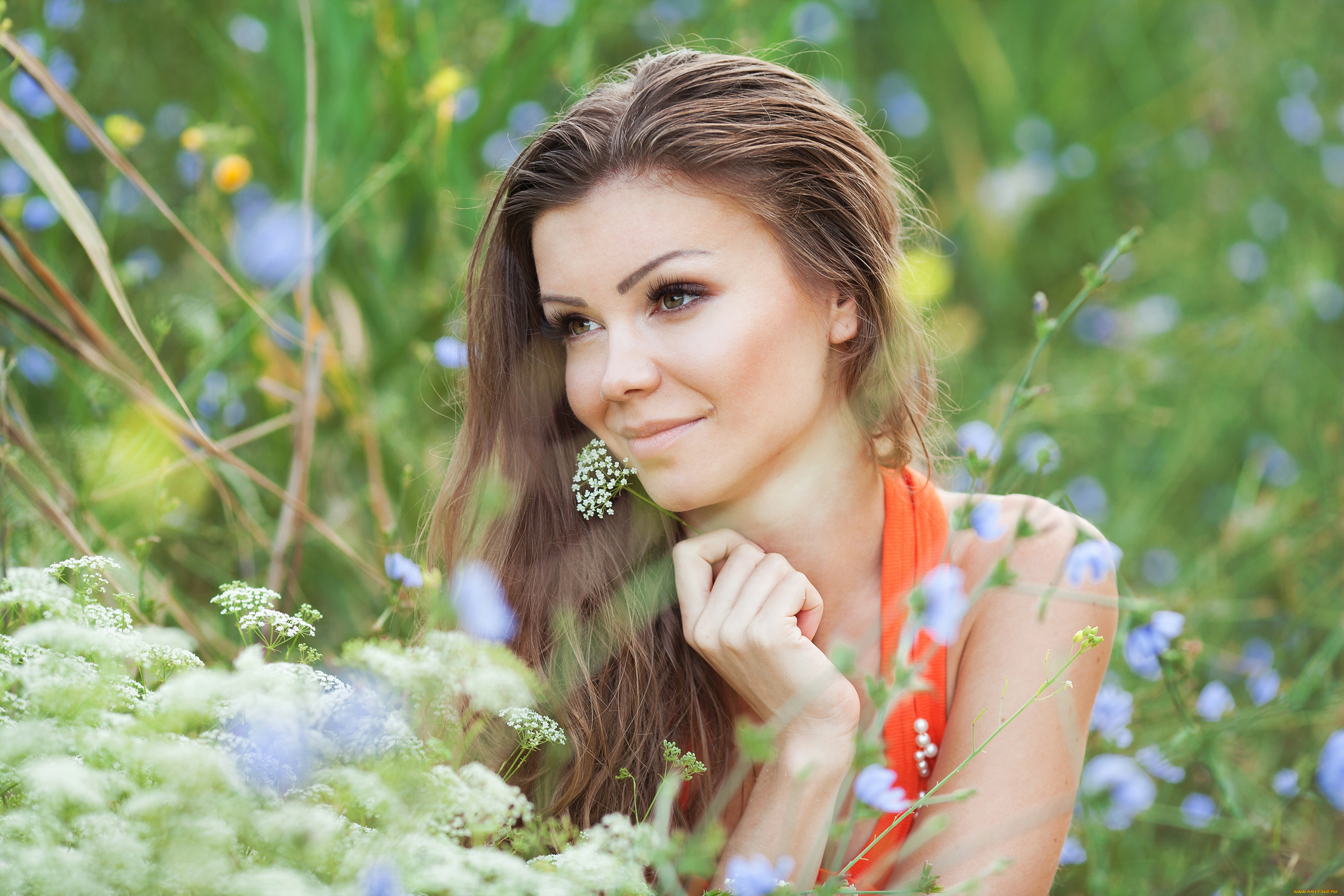 девушки, -unsort, , лица, , портреты, девушка, шатенка, макияж, цветы