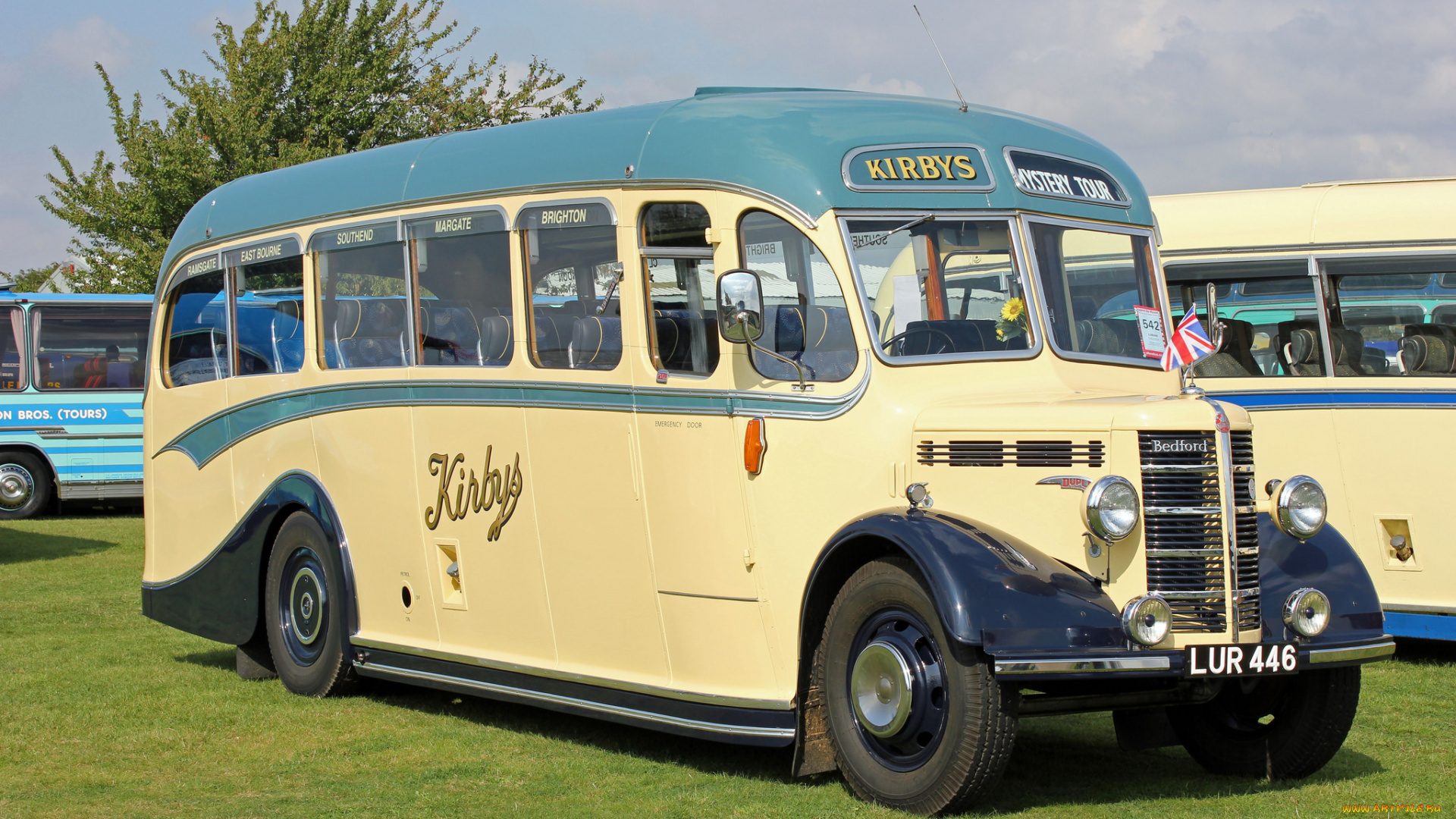 автомобили, автобусы, пассажирский, транспорт