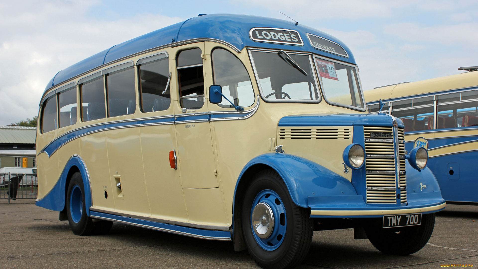 автомобили, автобусы, пассажирский, транспорт