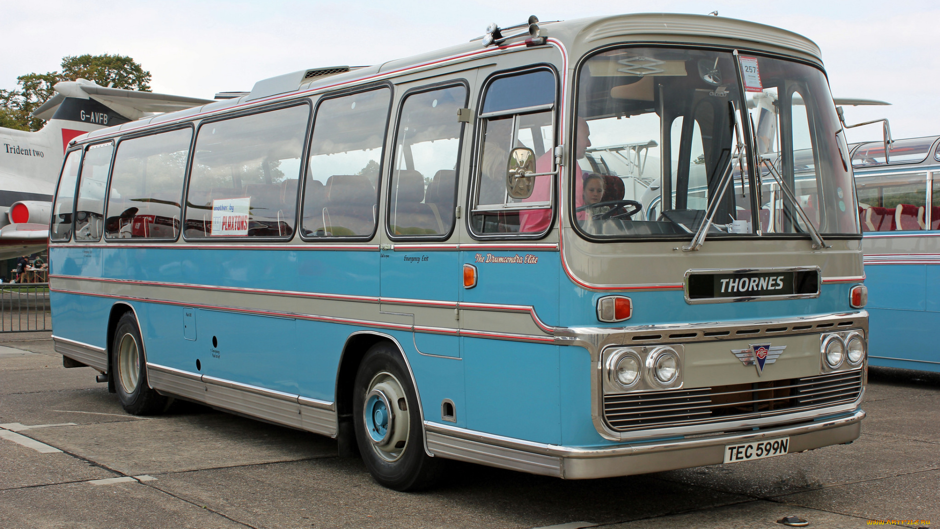 автомобили, автобусы, пассажирский, транспорт