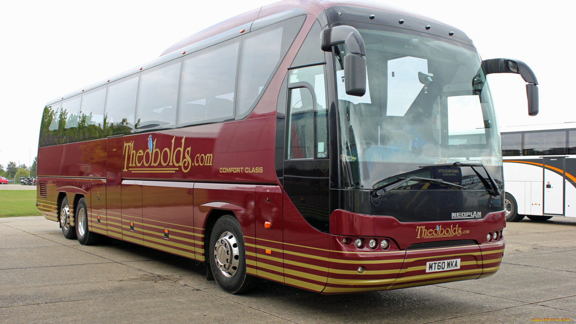 автомобили, автобусы, транспорт, пассажирский