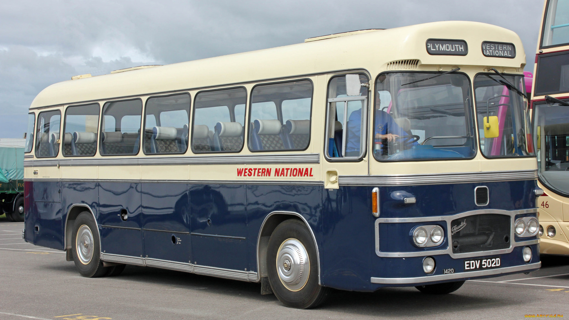 автомобили, автобусы, транспорт, пассажирский