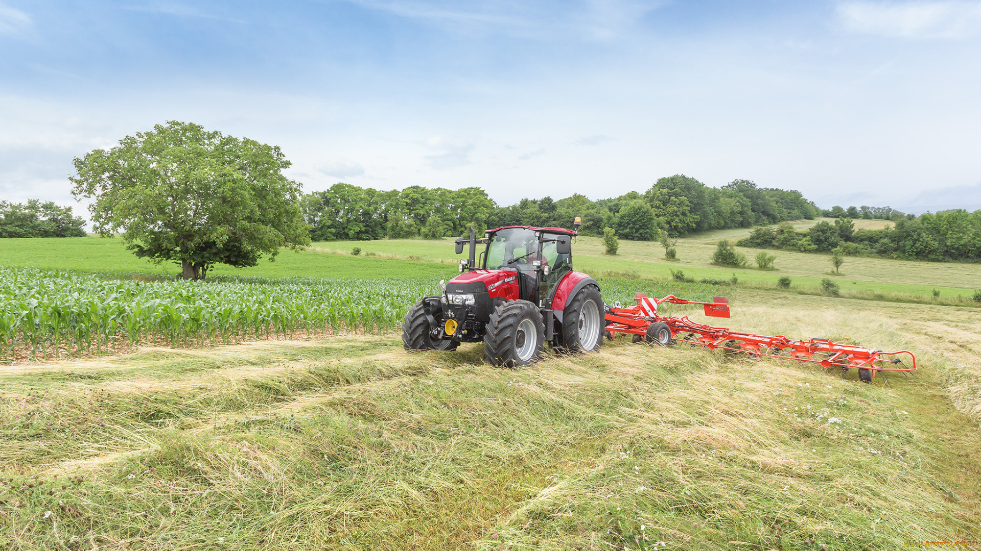 техника, тракторы, колесный, трактор