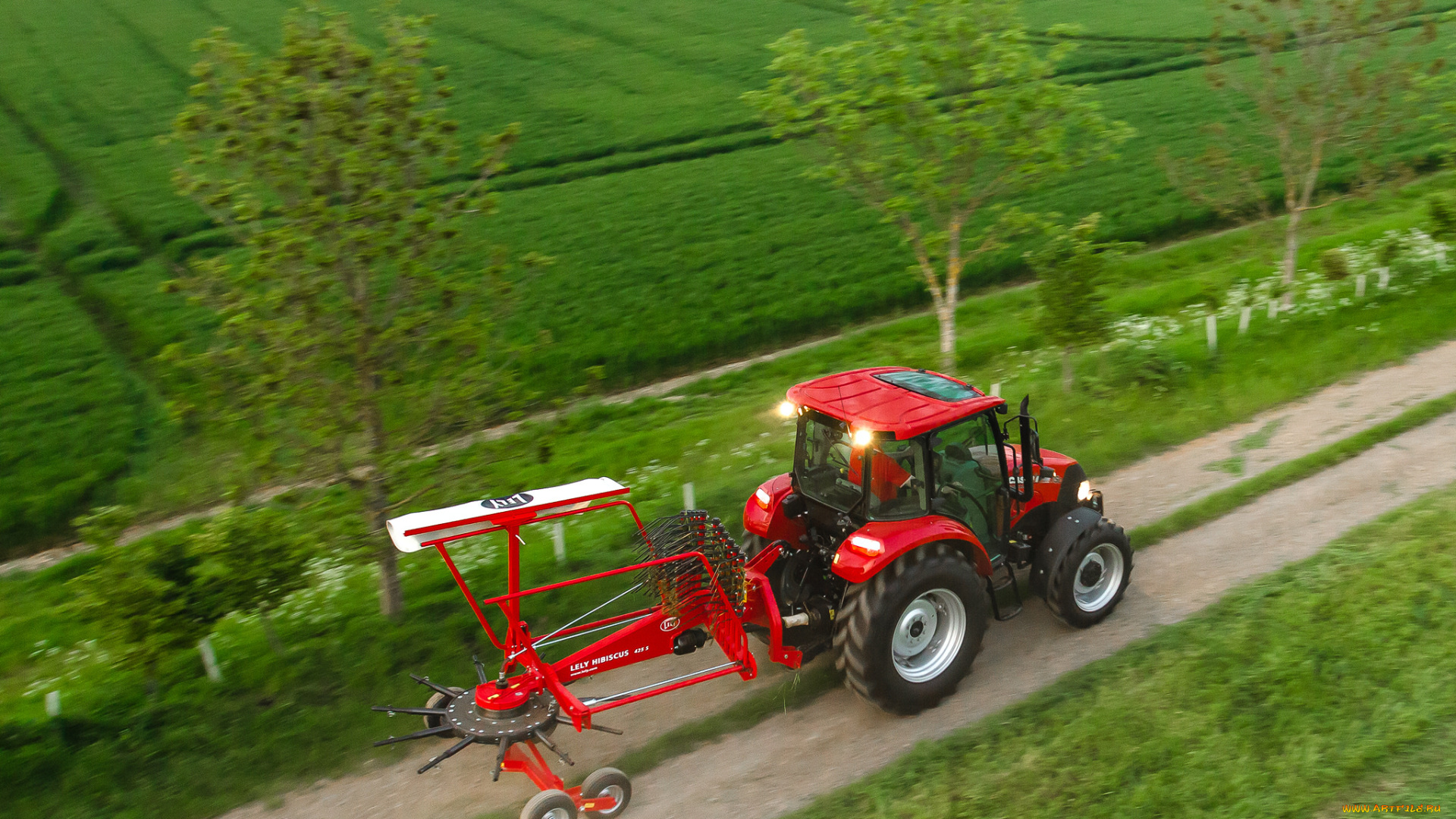 техника, тракторы, трактор, колесный