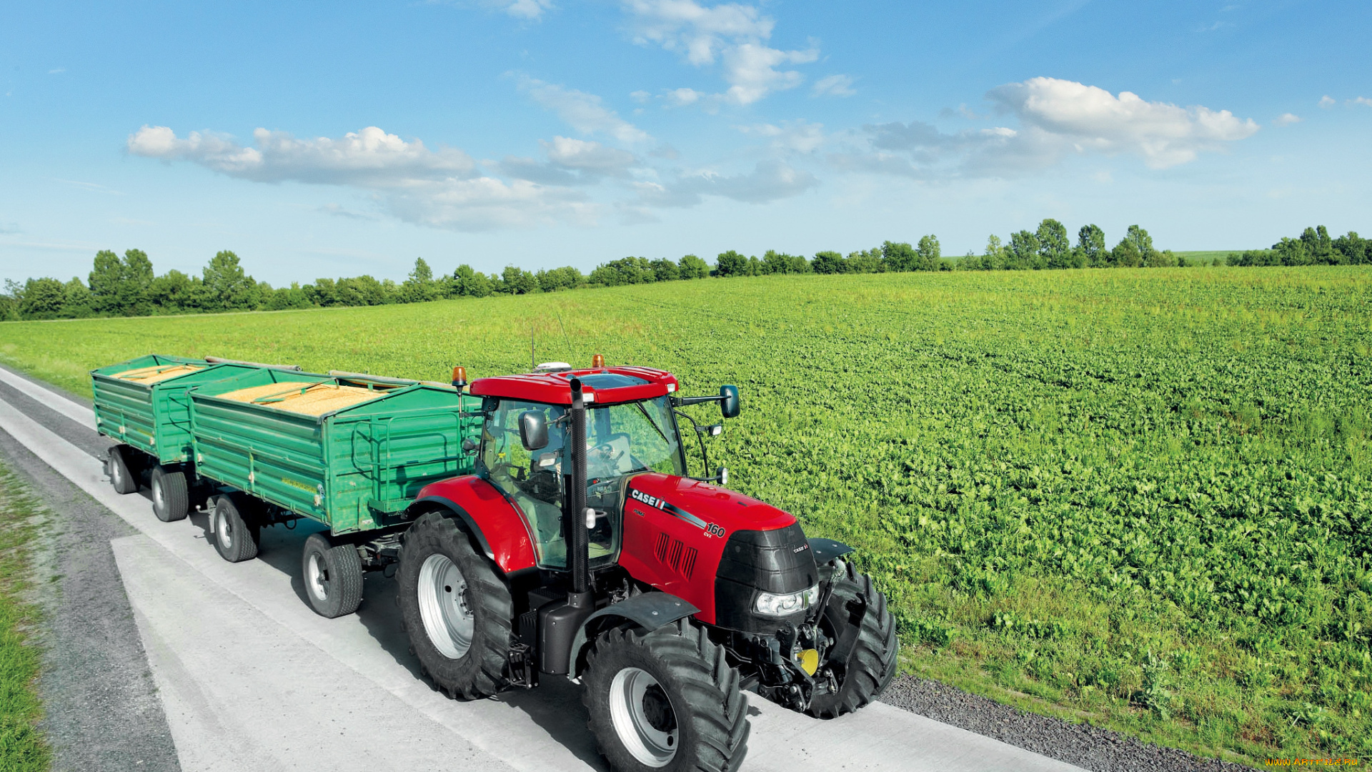 техника, тракторы, трактор, колесный