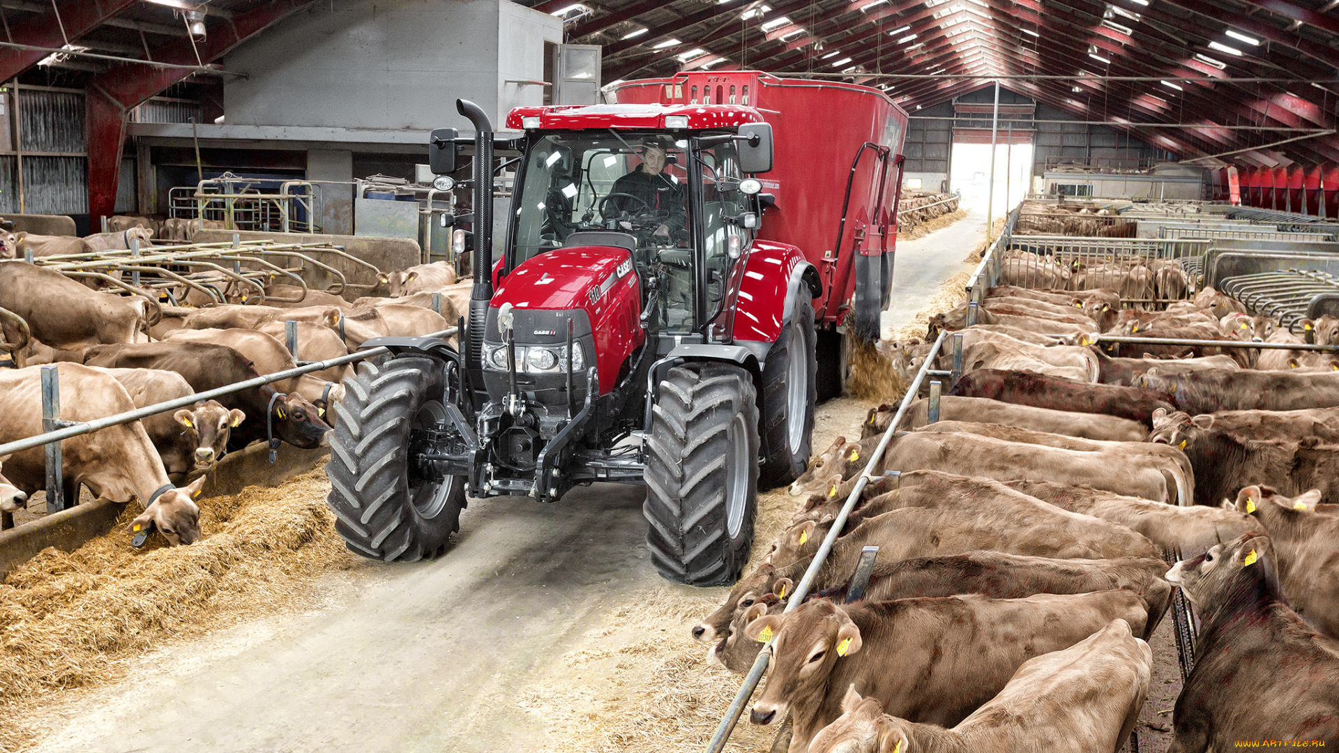 техника, тракторы, трактор, колесный