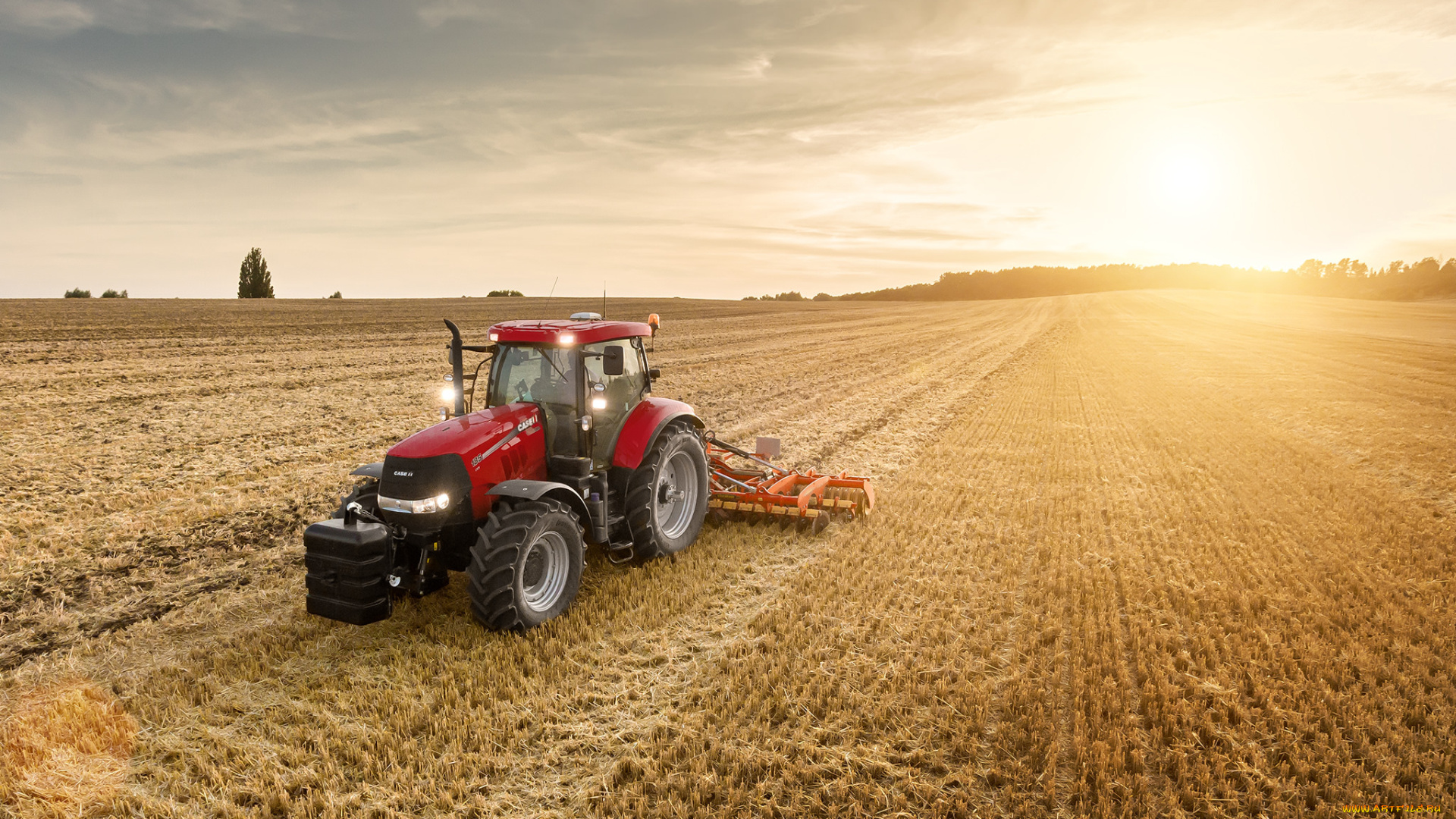 техника, тракторы, трактор, колесный