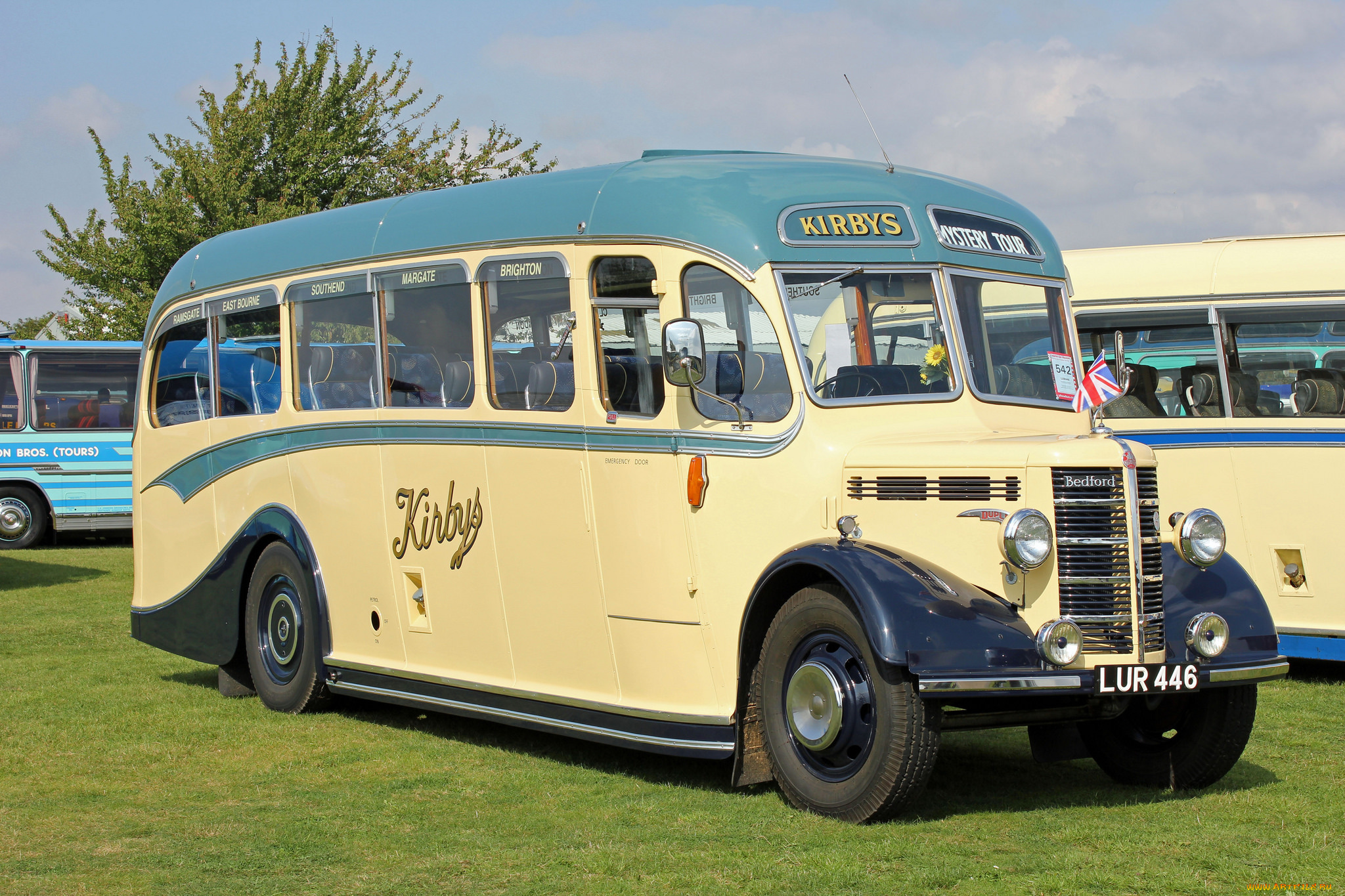 автомобили, автобусы, пассажирский, транспорт