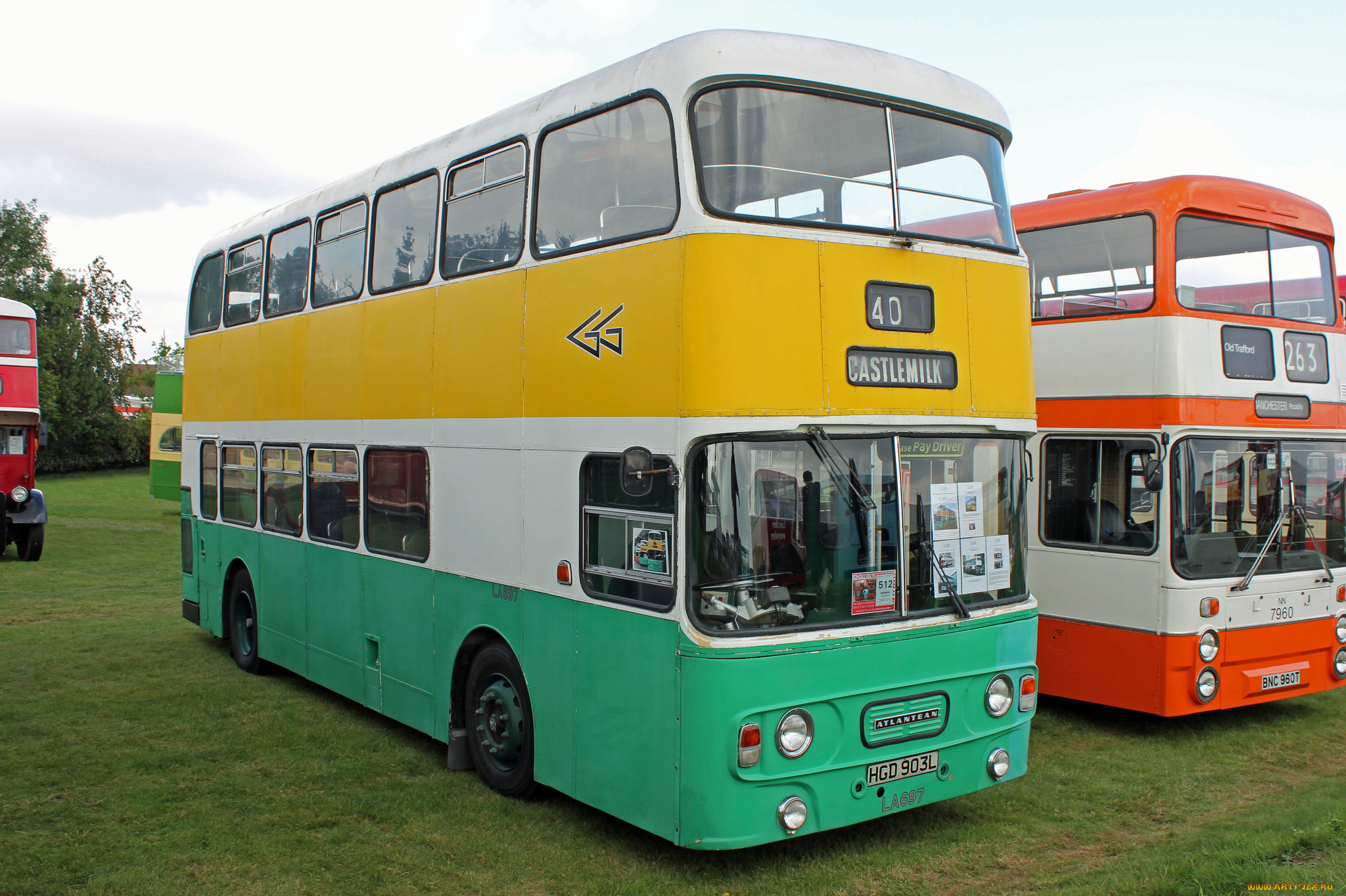 автомобили, автобусы, пассажирский, транспорт