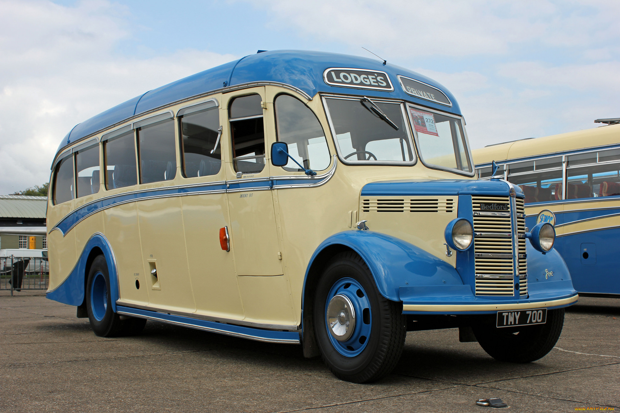 автомобили, автобусы, пассажирский, транспорт