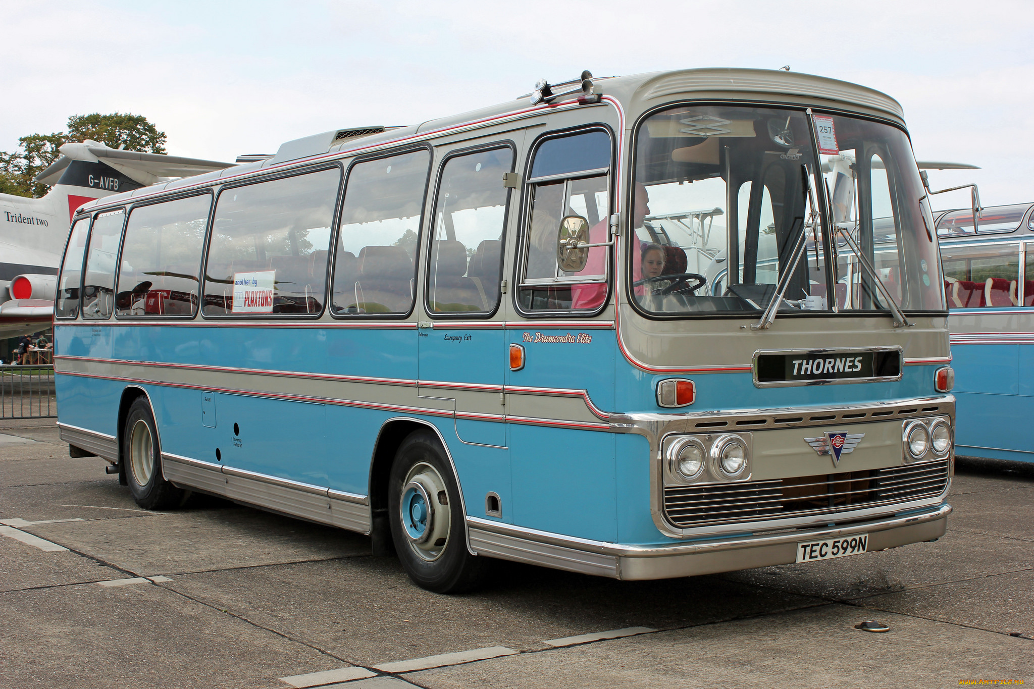 автомобили, автобусы, пассажирский, транспорт