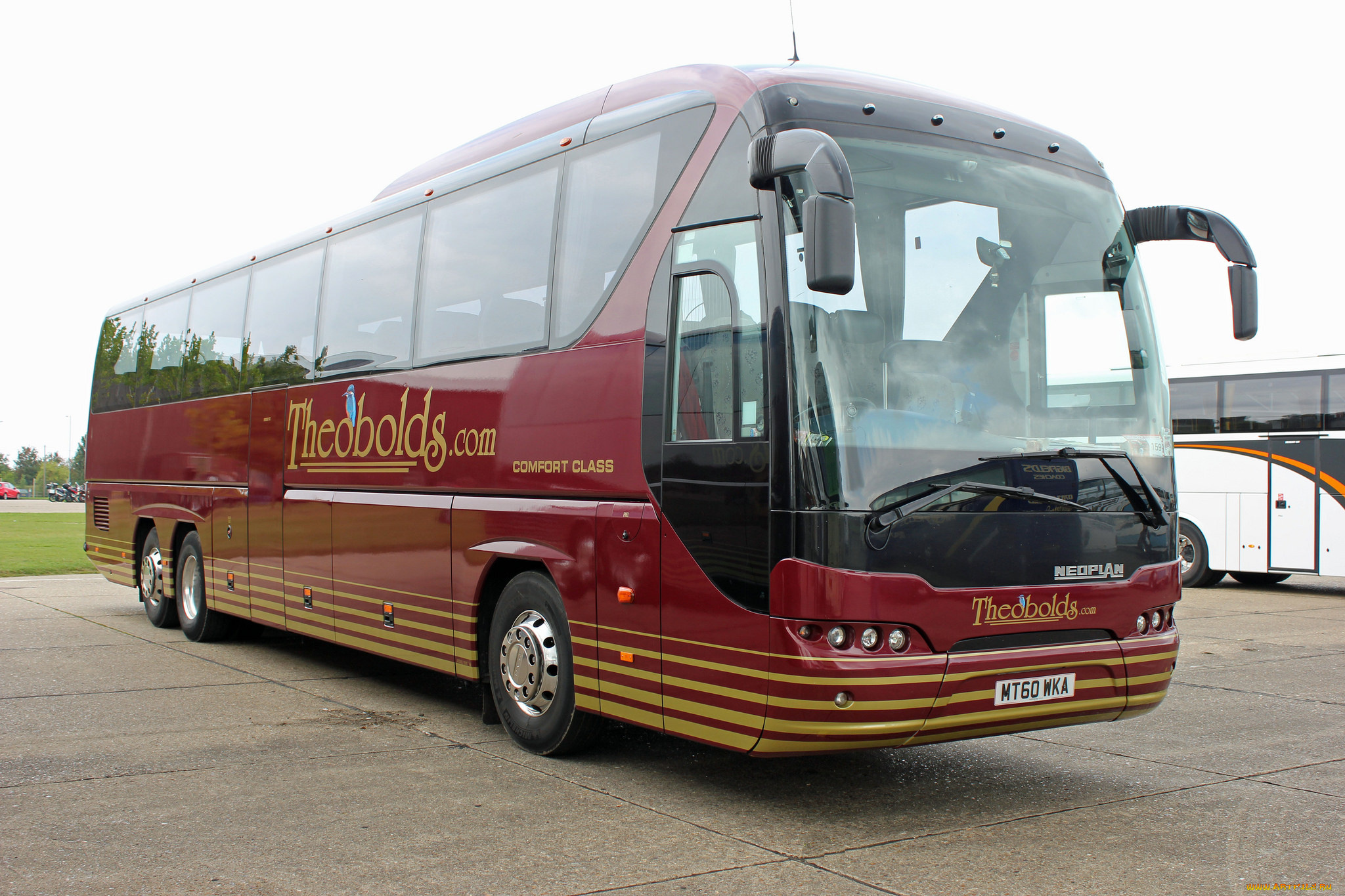 автомобили, автобусы, транспорт, пассажирский