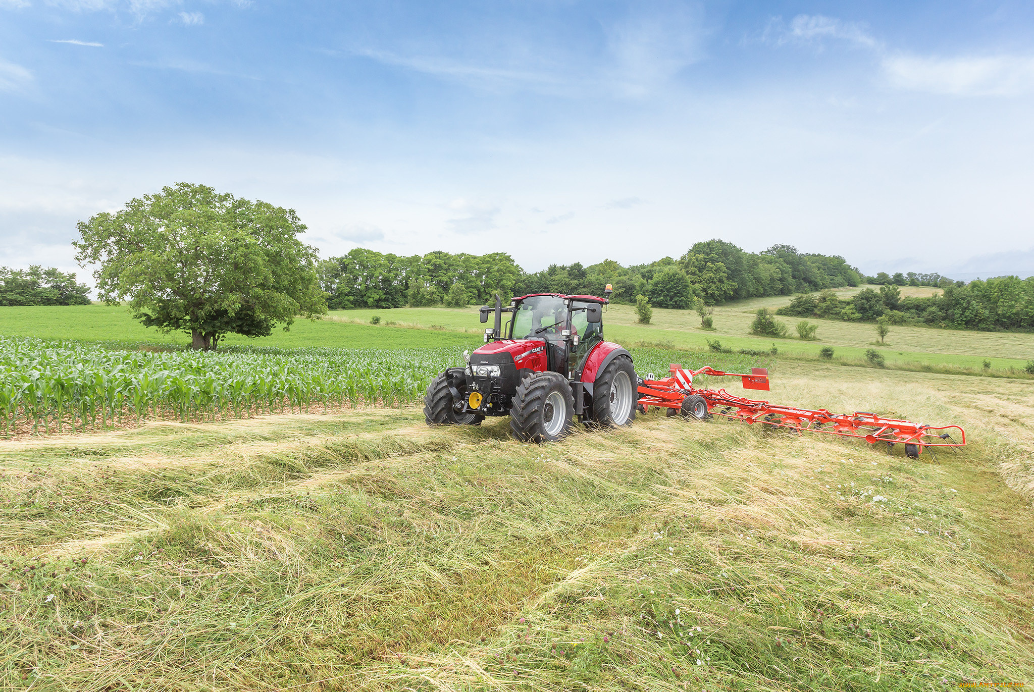техника, тракторы, колесный, трактор