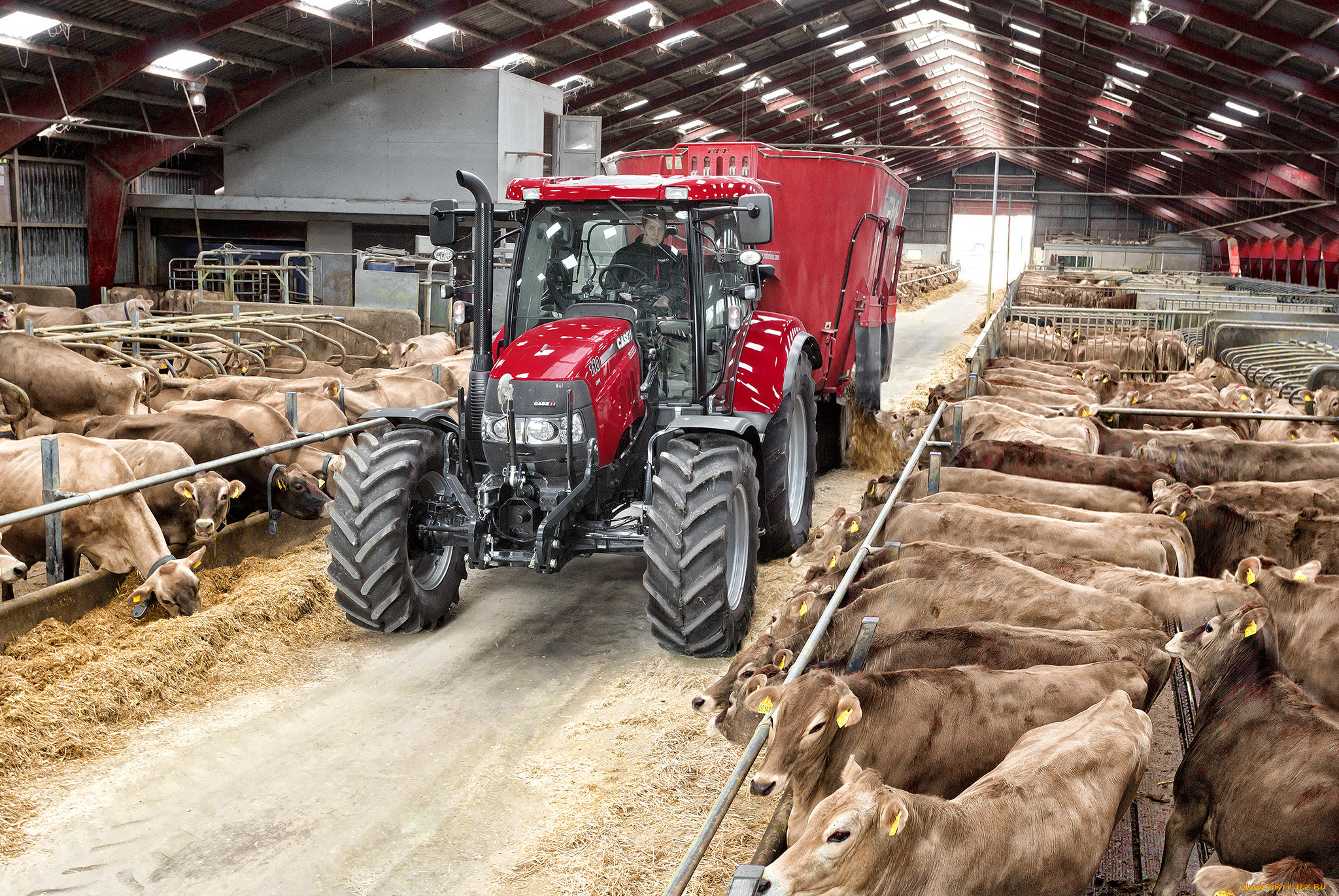 техника, тракторы, трактор, колесный