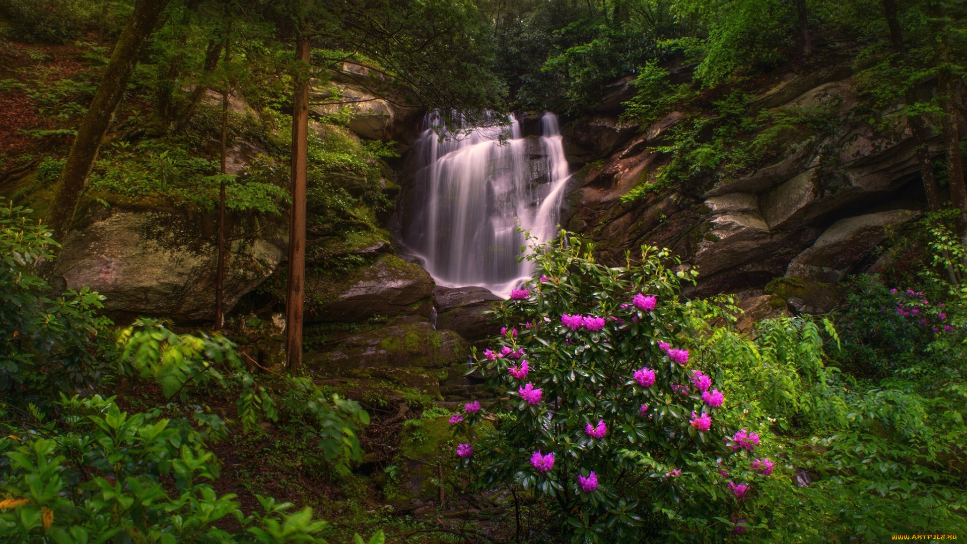природа, водопады, seven, falls, etowah, north, carolina, этова, северная, каролина, водопад, скалы, лес, деревья, рододендроны