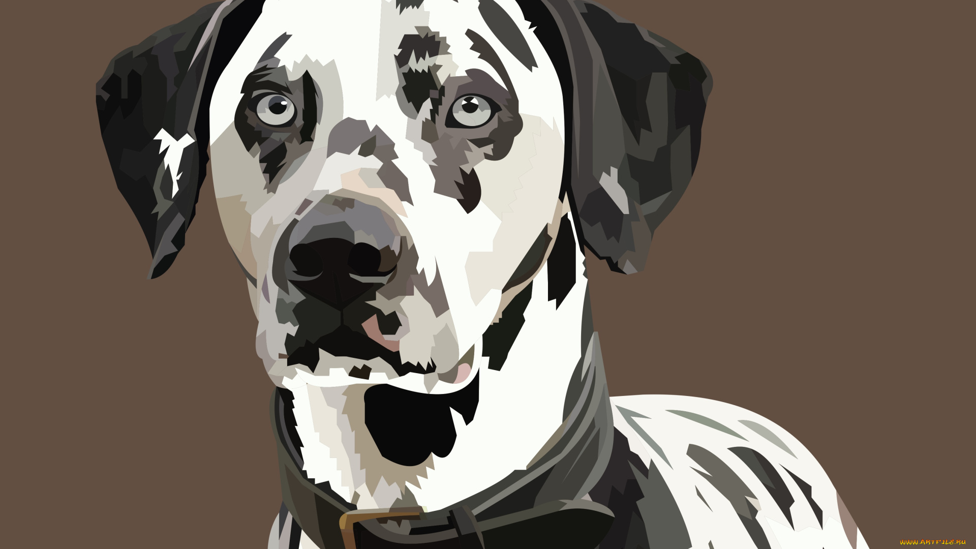 векторная, графика, животные, , animals, фон, взгляд, собака