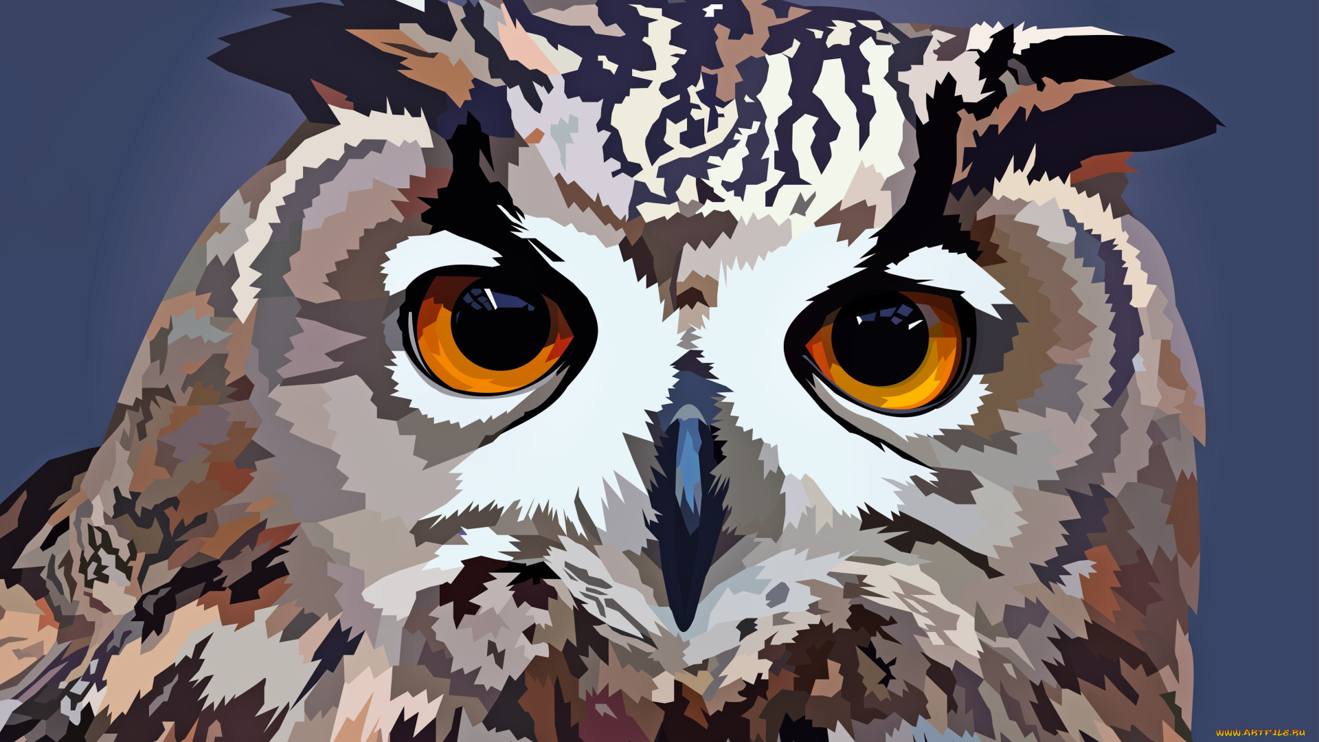 векторная, графика, животные, , animals, сова