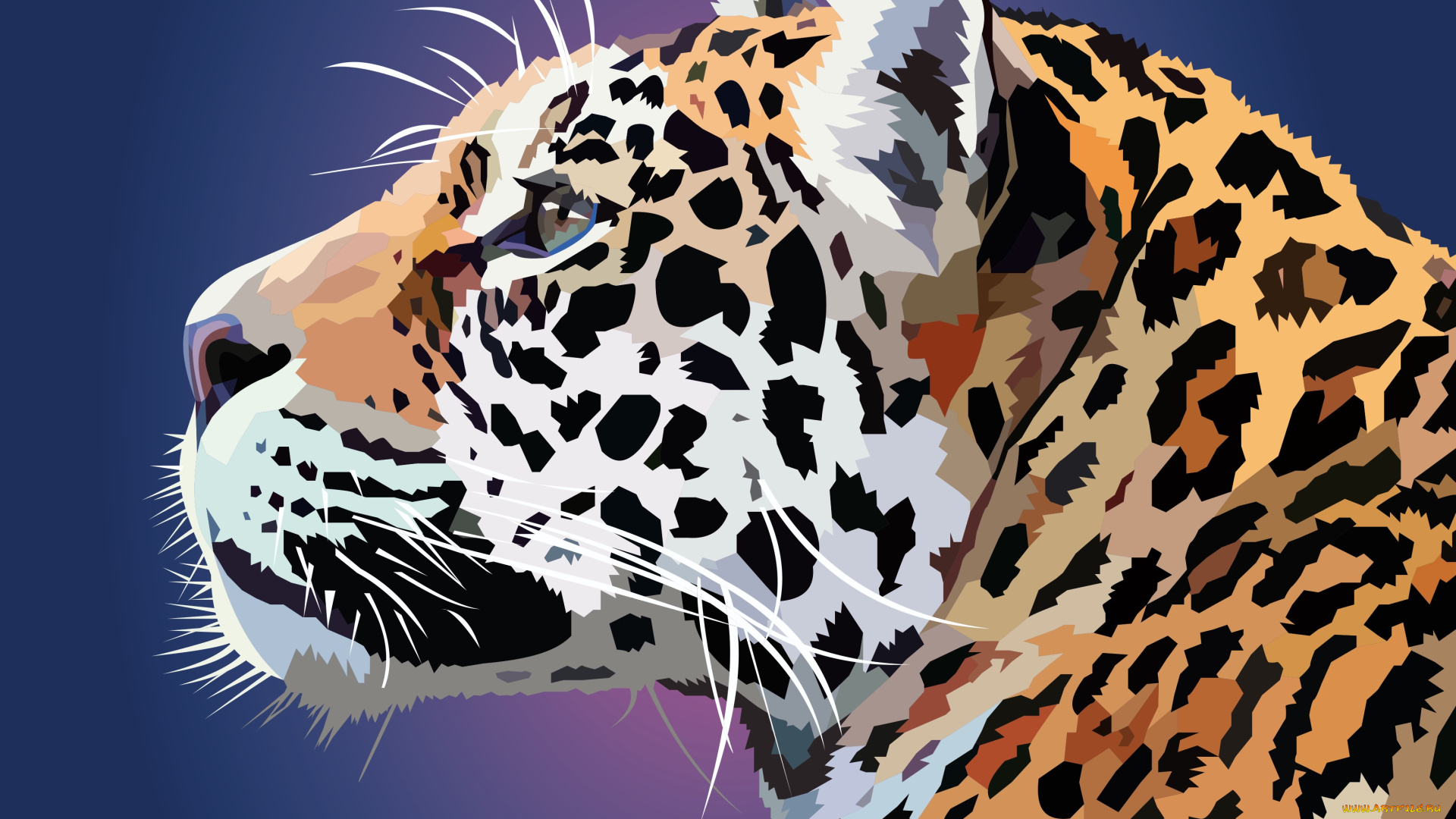 векторная, графика, животные, , animals, ягуар